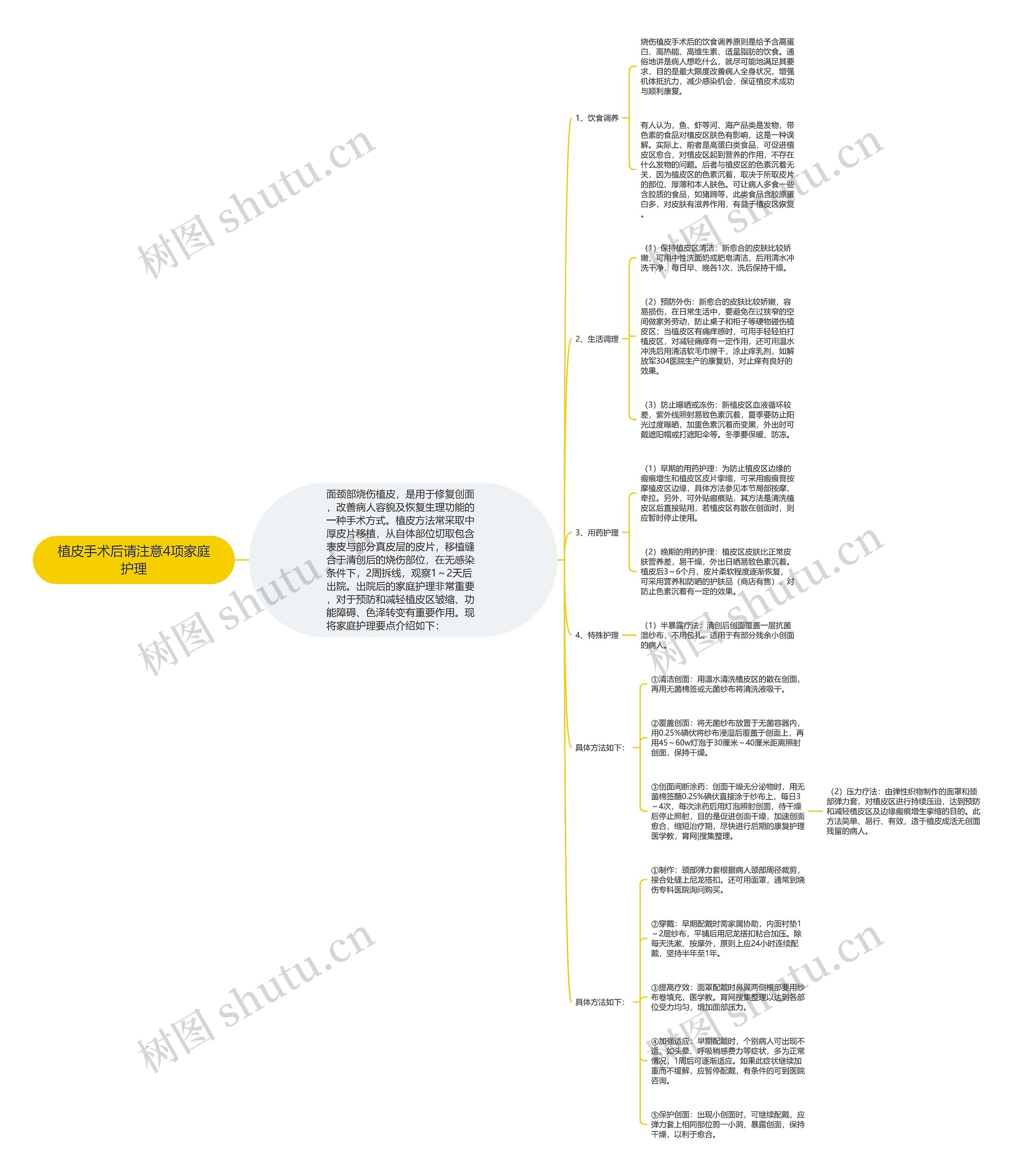 植皮手术后请注意4项家庭护理思维导图