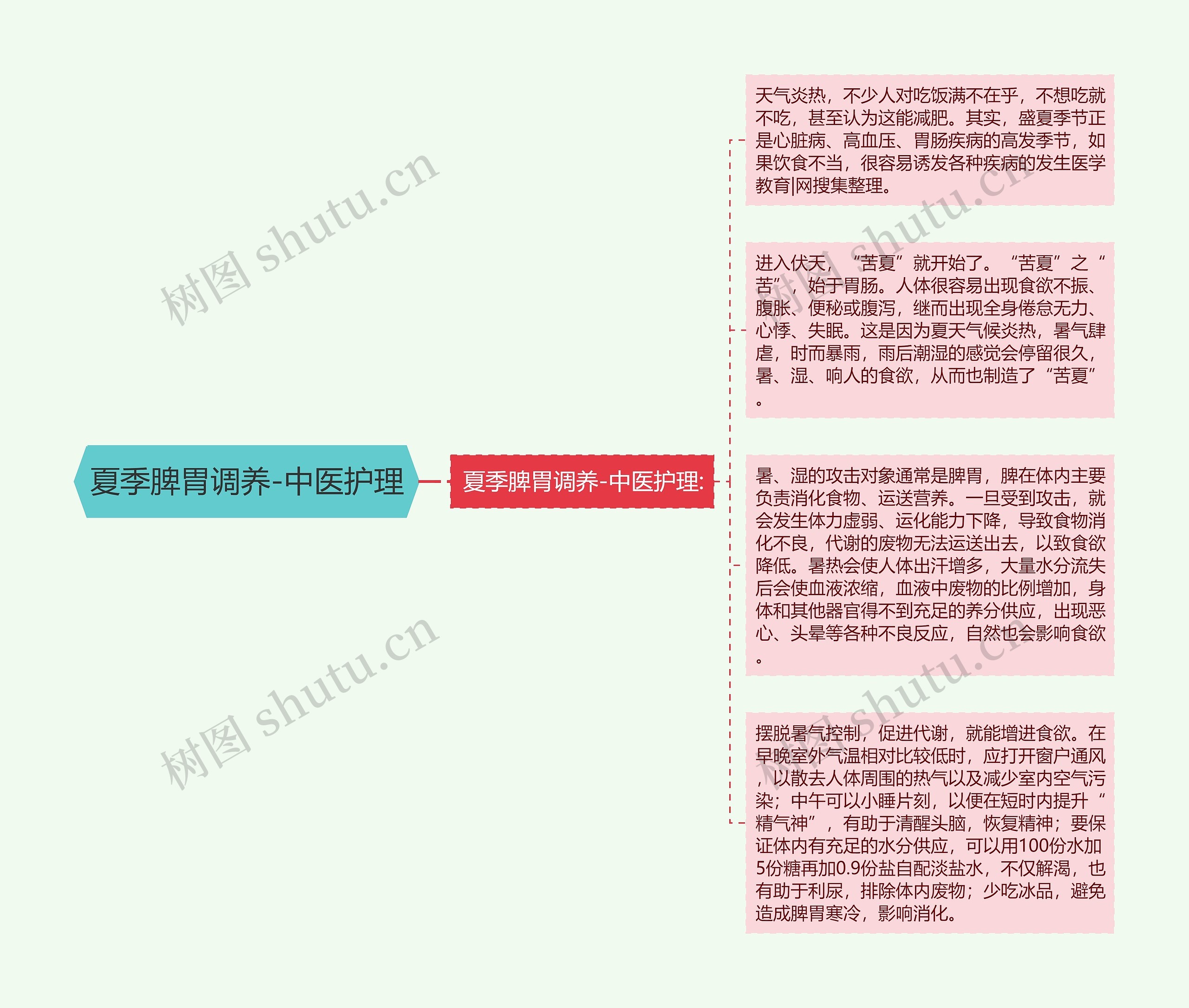 夏季脾胃调养-中医护理思维导图