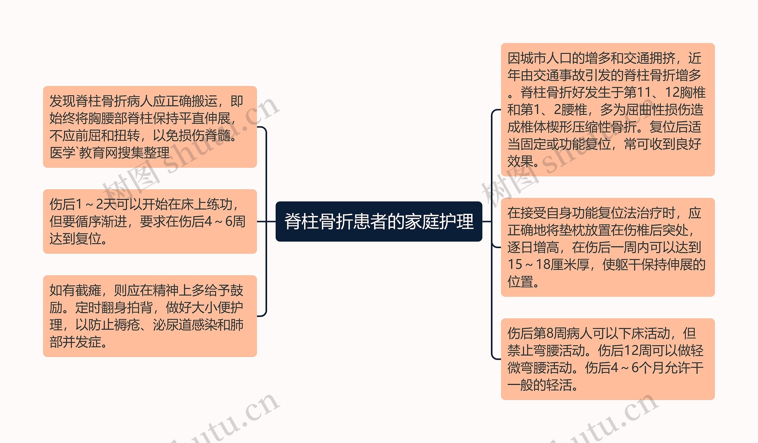 脊柱骨折患者的家庭护理思维导图