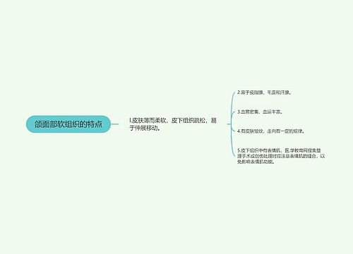 颌面部软组织的特点