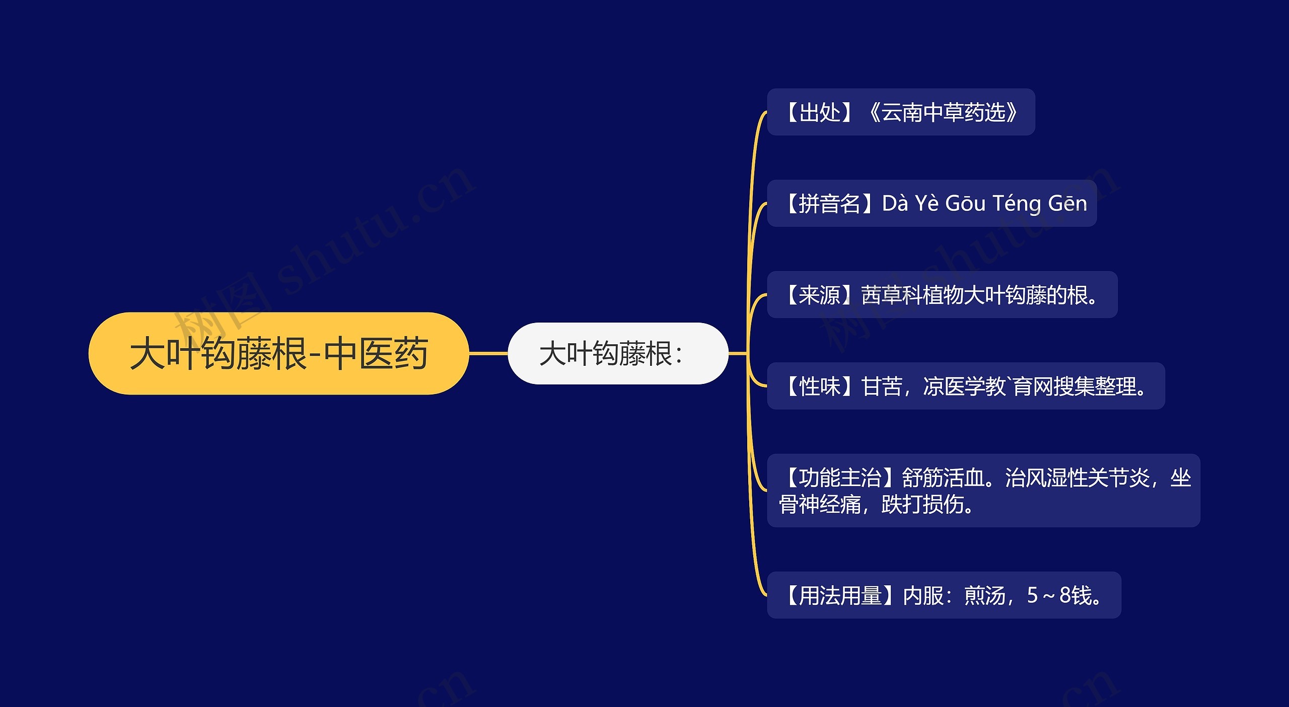 大叶钩藤根-中医药思维导图