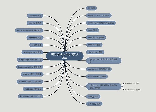 甲流（Swine Flu）词汇大集合