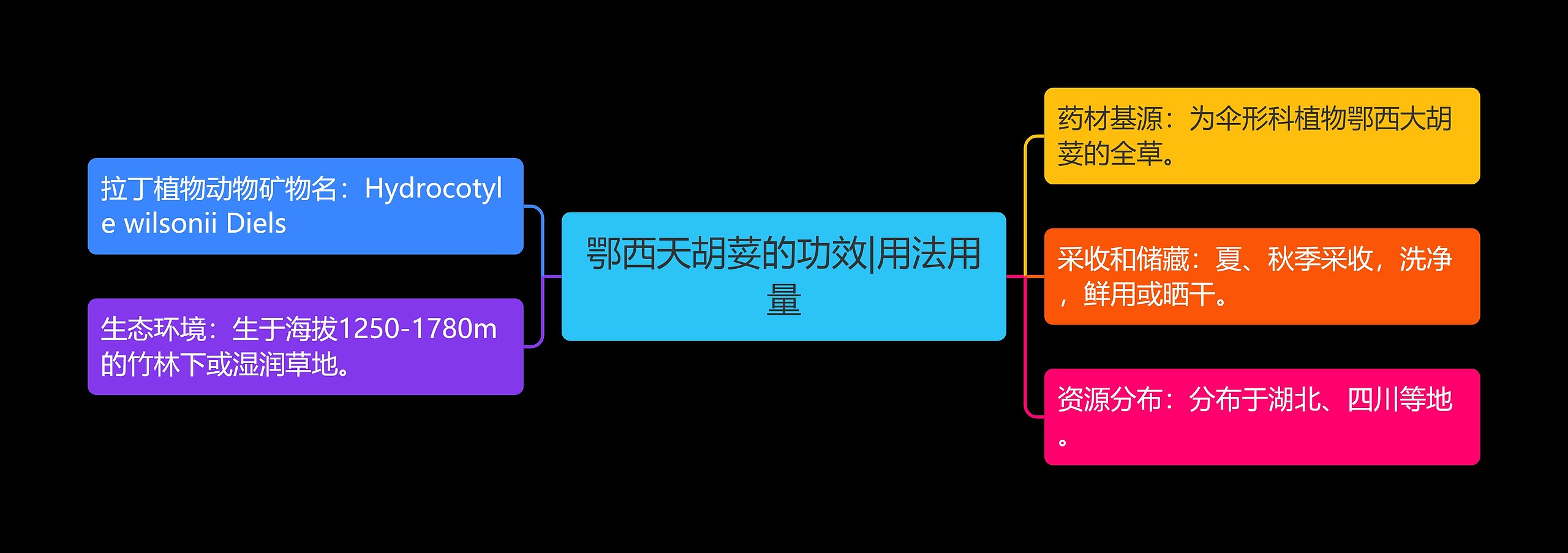 鄂西天胡荽的功效|用法用量 鄂西天胡荽的功效|用法用量