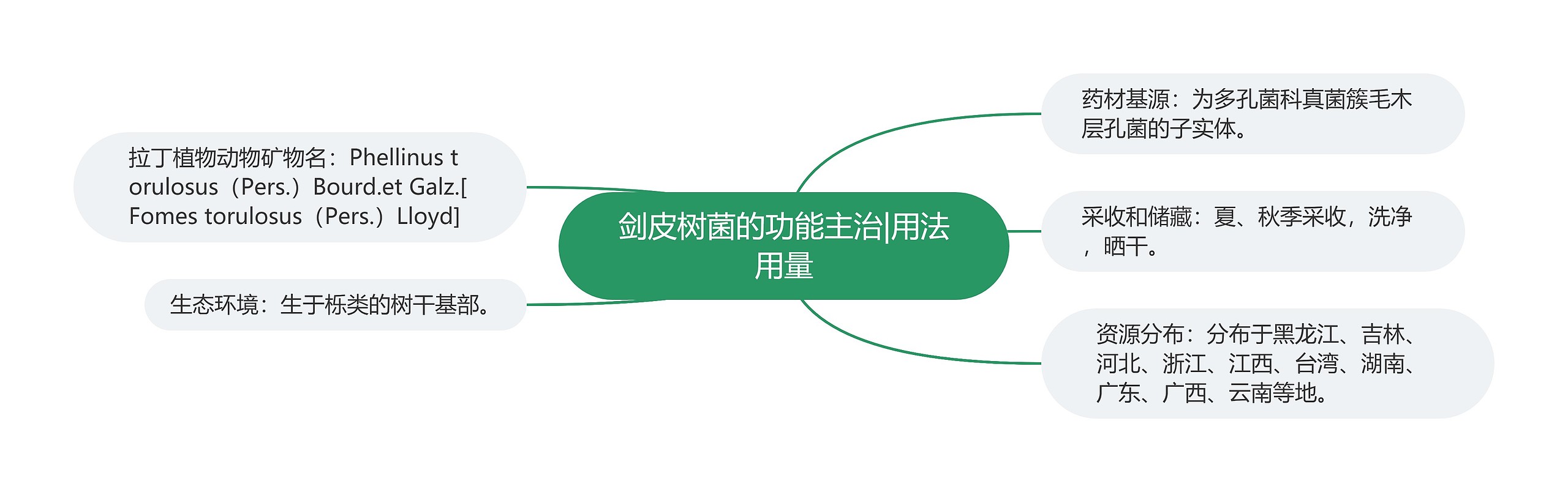 剑皮树菌的功能主治|用法用量 剑皮树菌的功能主治|用法用量