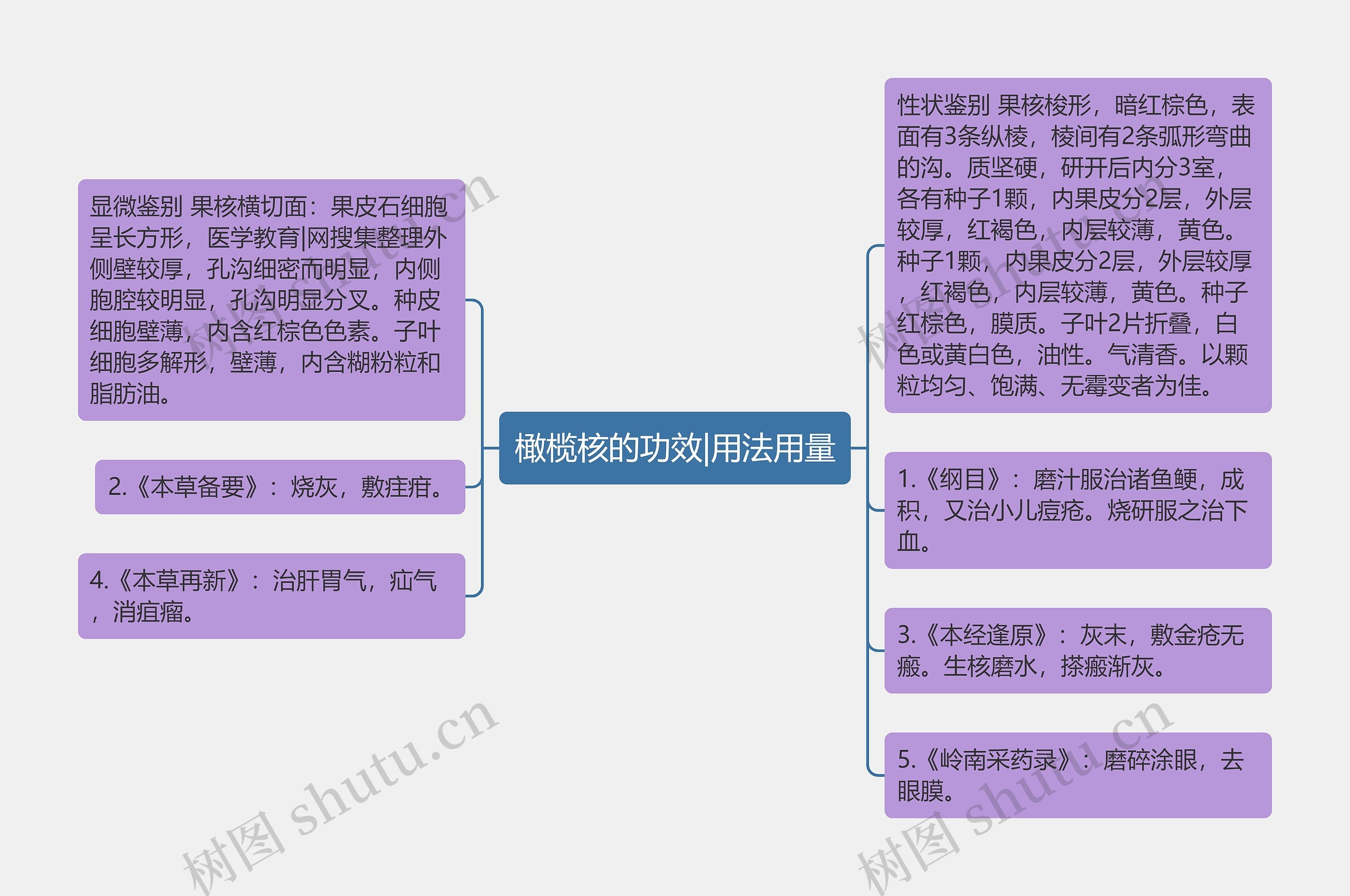 橄榄核的功效|用法用量