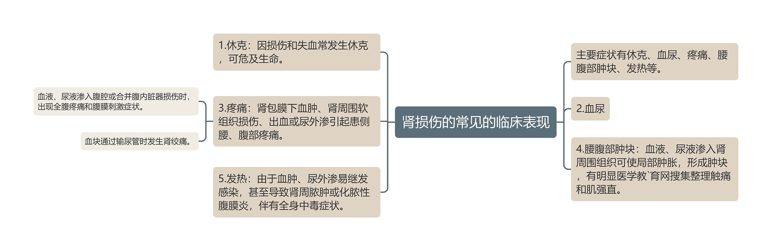 肾损伤的常见的临床表现 肾损伤的常见的临床表现