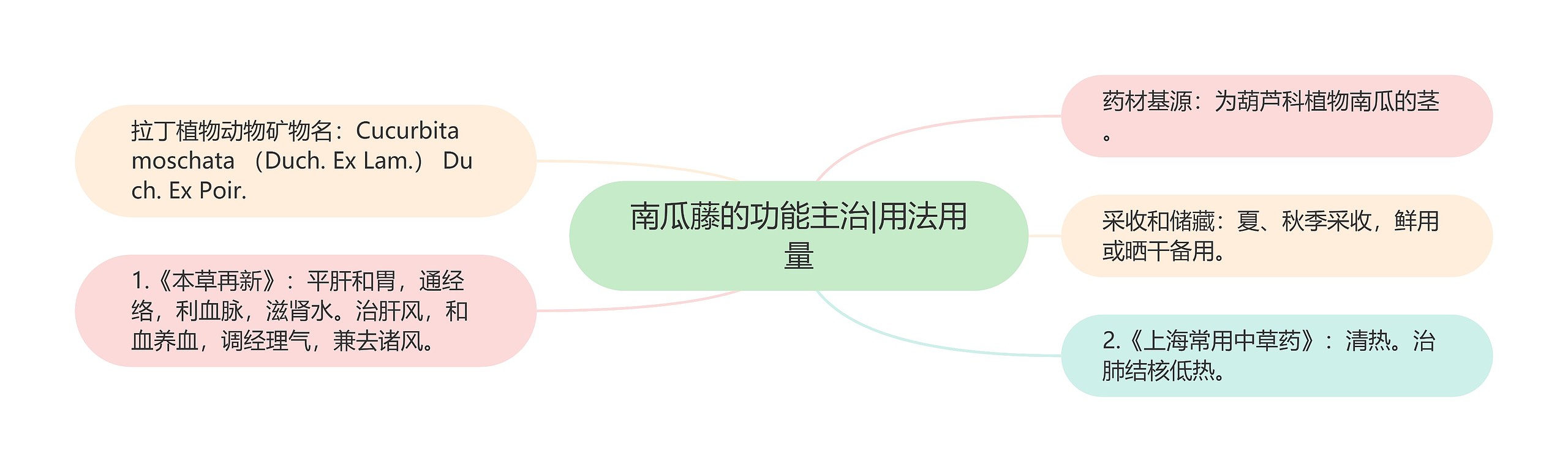 南瓜藤的功能主治|用法用量思维导图