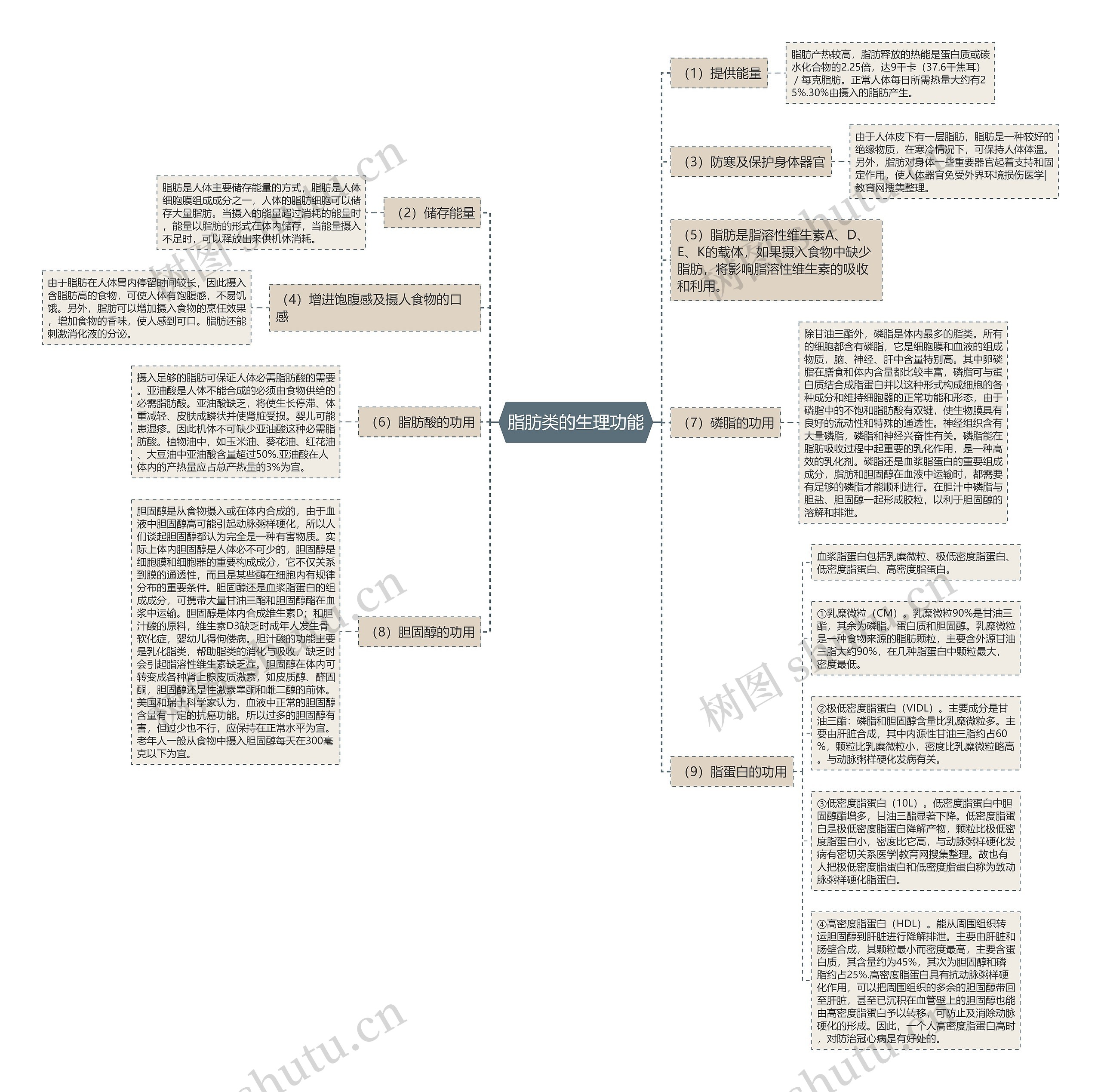 脂肪类的生理功能 脂肪类的生理功能