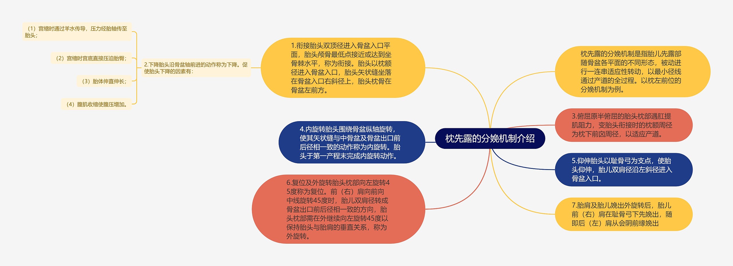 枕先露的分娩机制介绍思维导图