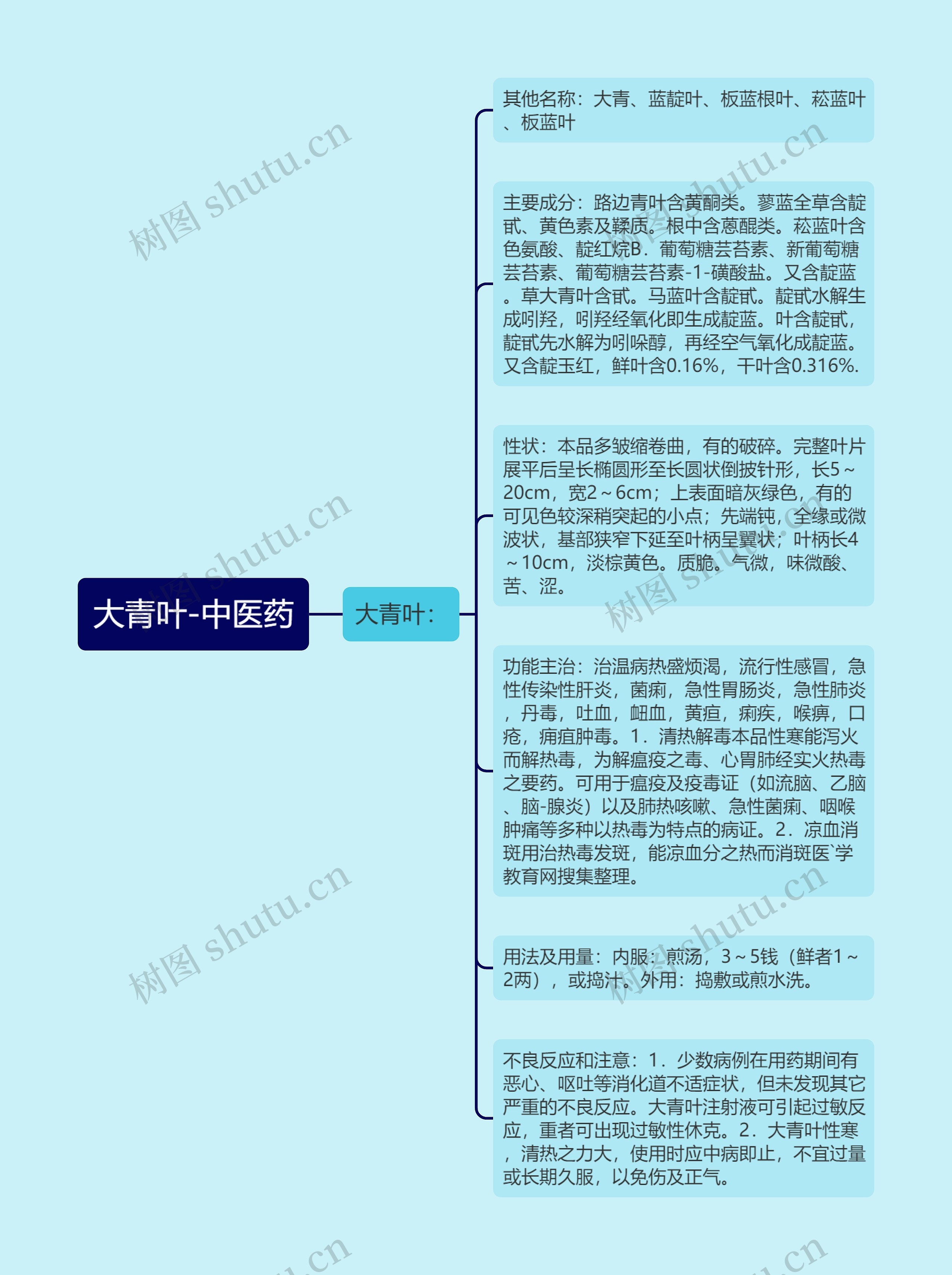 大青叶-中医药思维导图