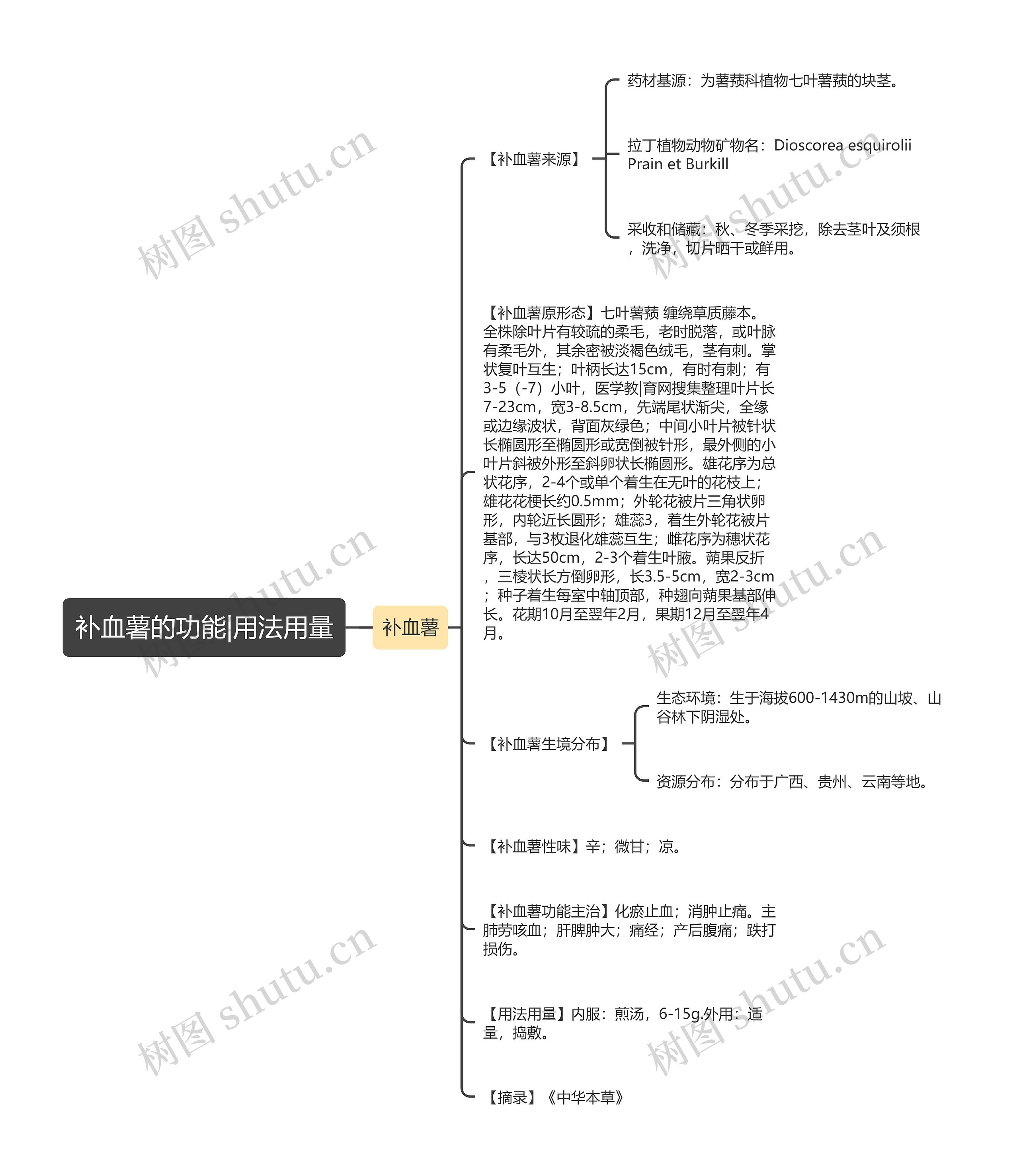 补血薯的功能|用法用量思维导图