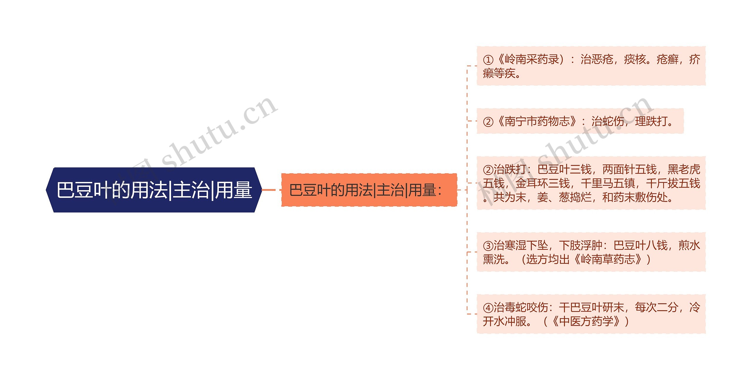 巴豆叶的用法|主治|用量思维导图