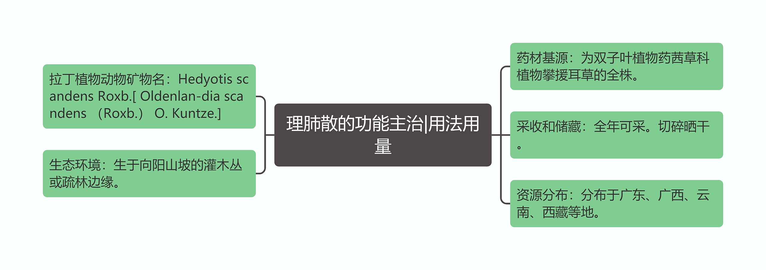 理肺散的功能主治|用法用量思维导图