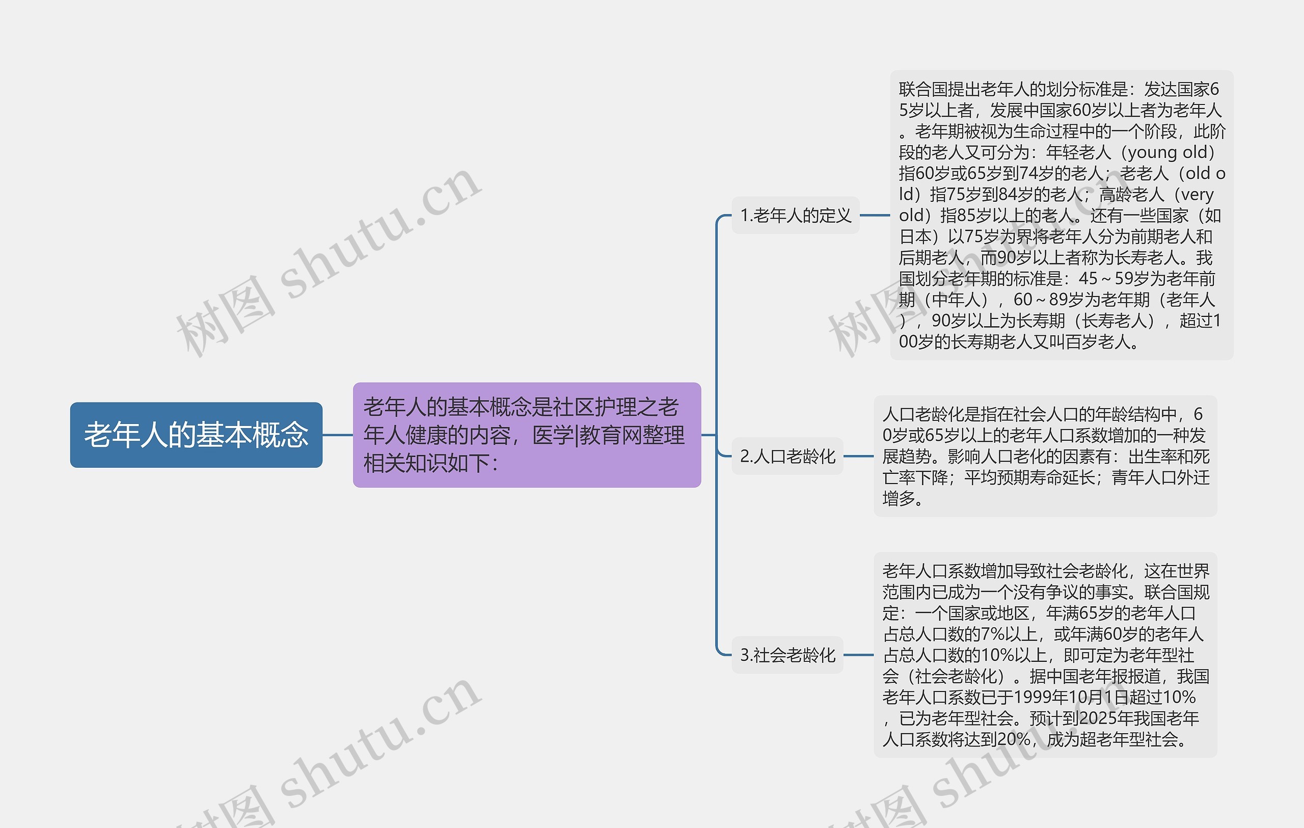 老年人的基本概念