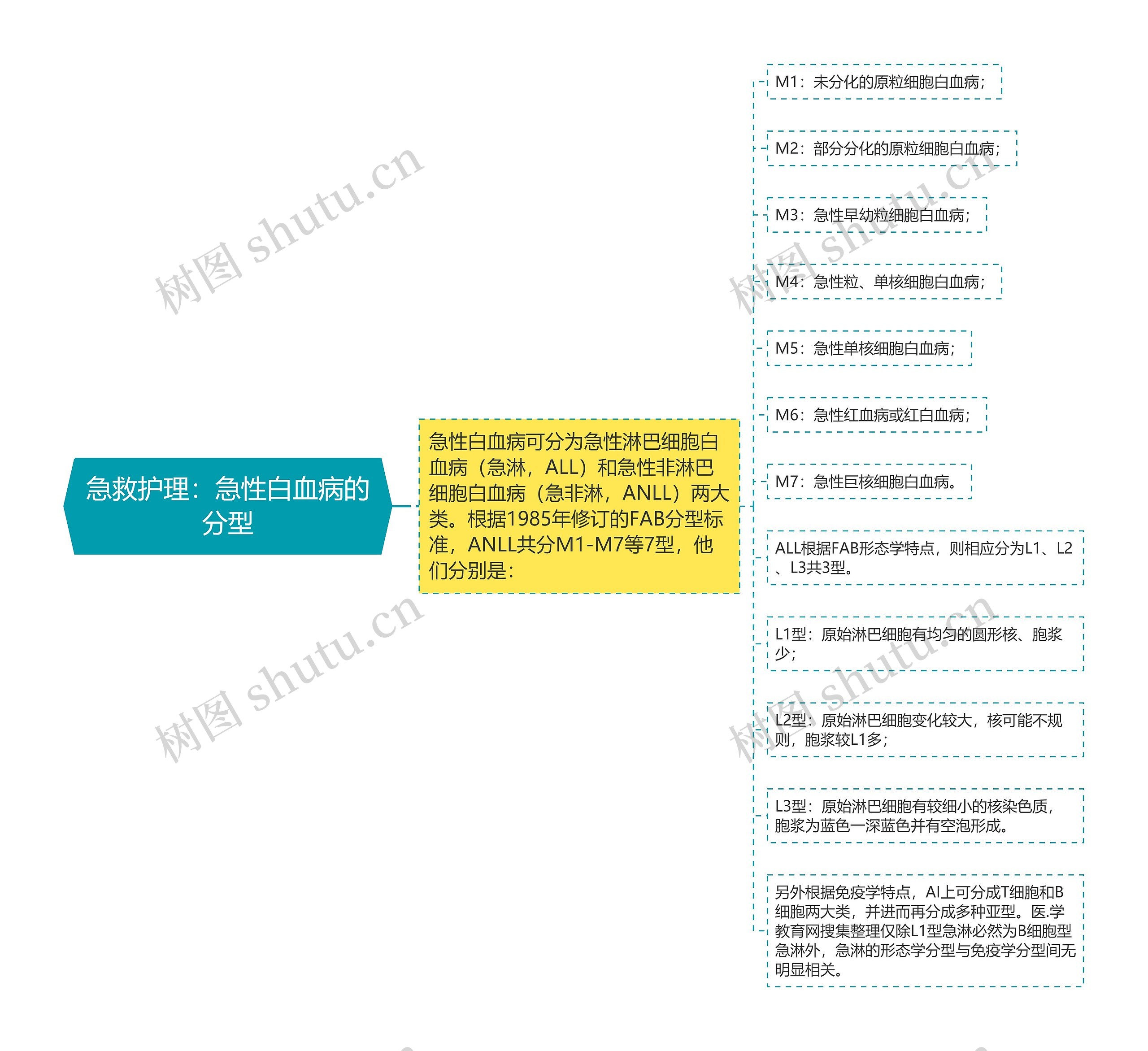 急救护理：急性白血病的分型思维导图