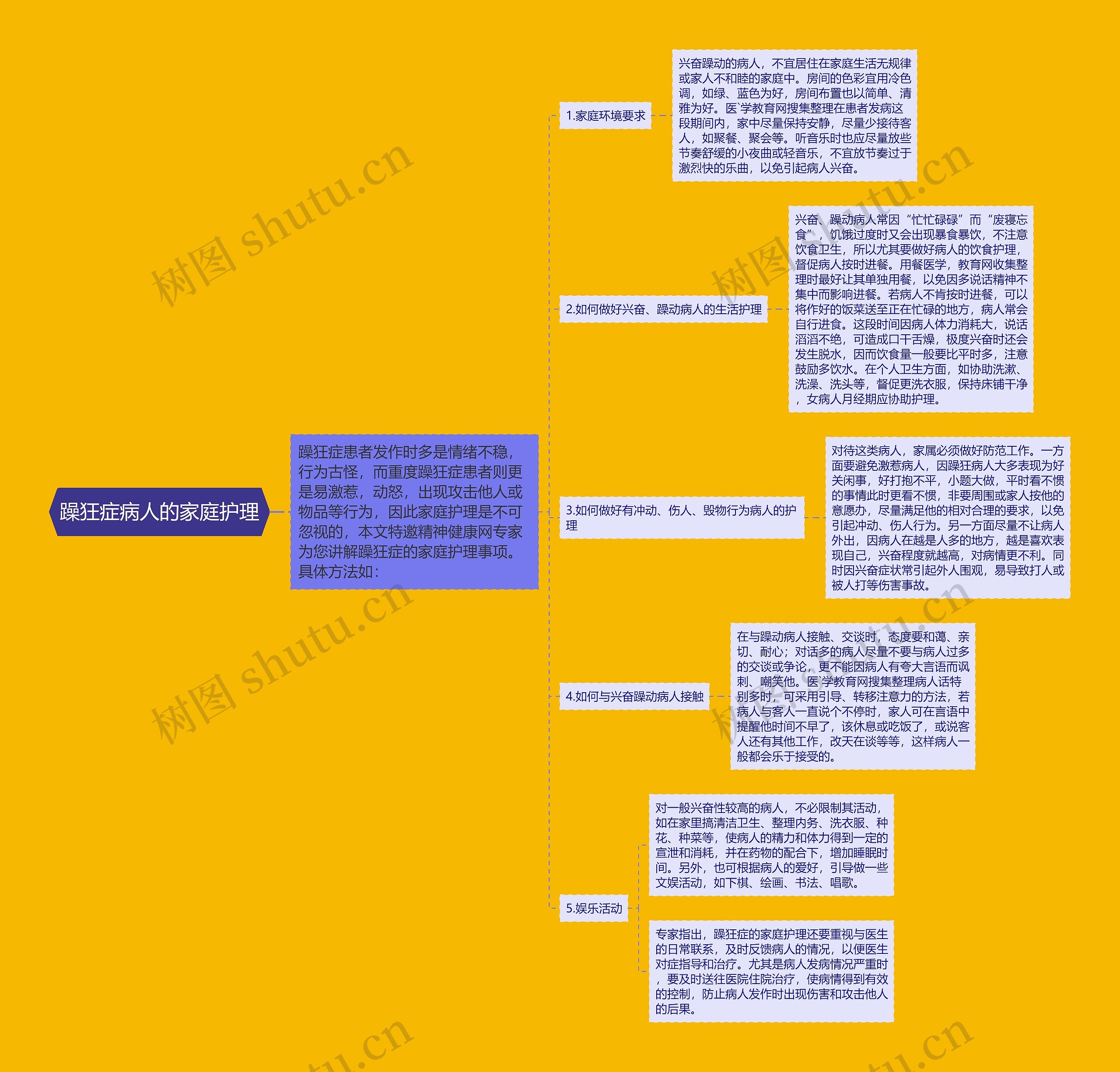 躁狂症病人的家庭护理思维导图