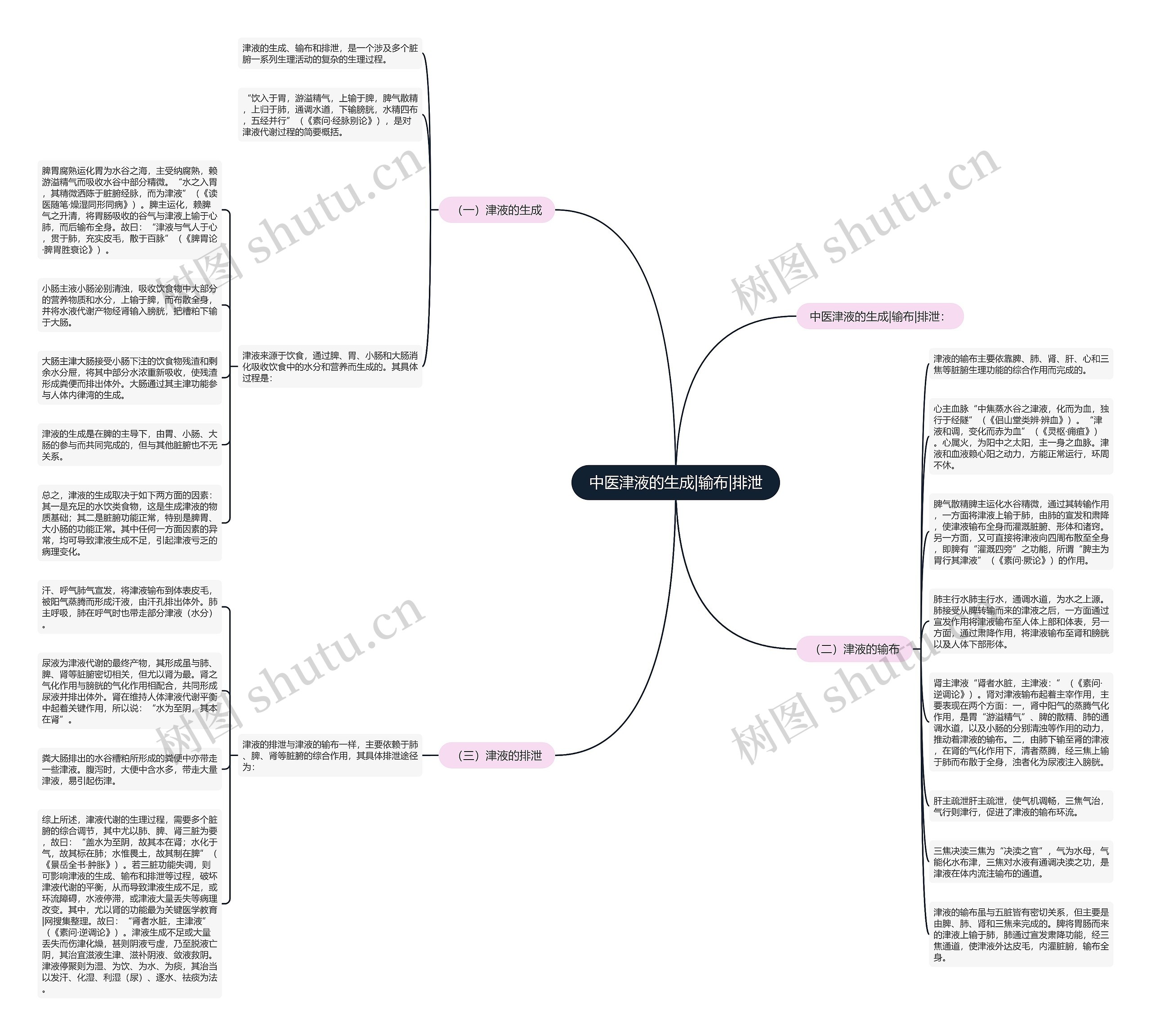 中医津液的生成|输布|排泄思维导图