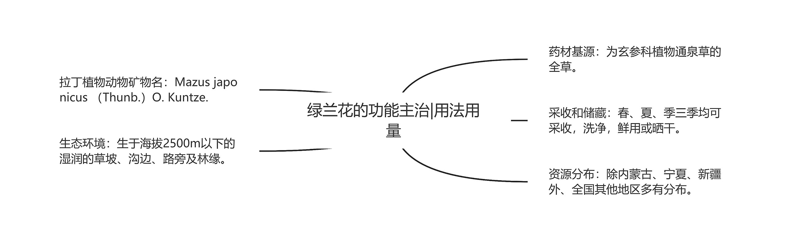 绿兰花的功能主治|用法用量思维导图