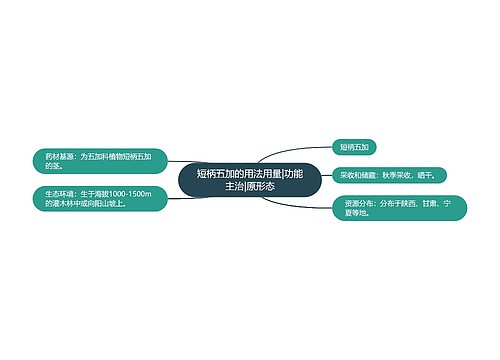 短柄五加的用法用量|功能主治|原形态