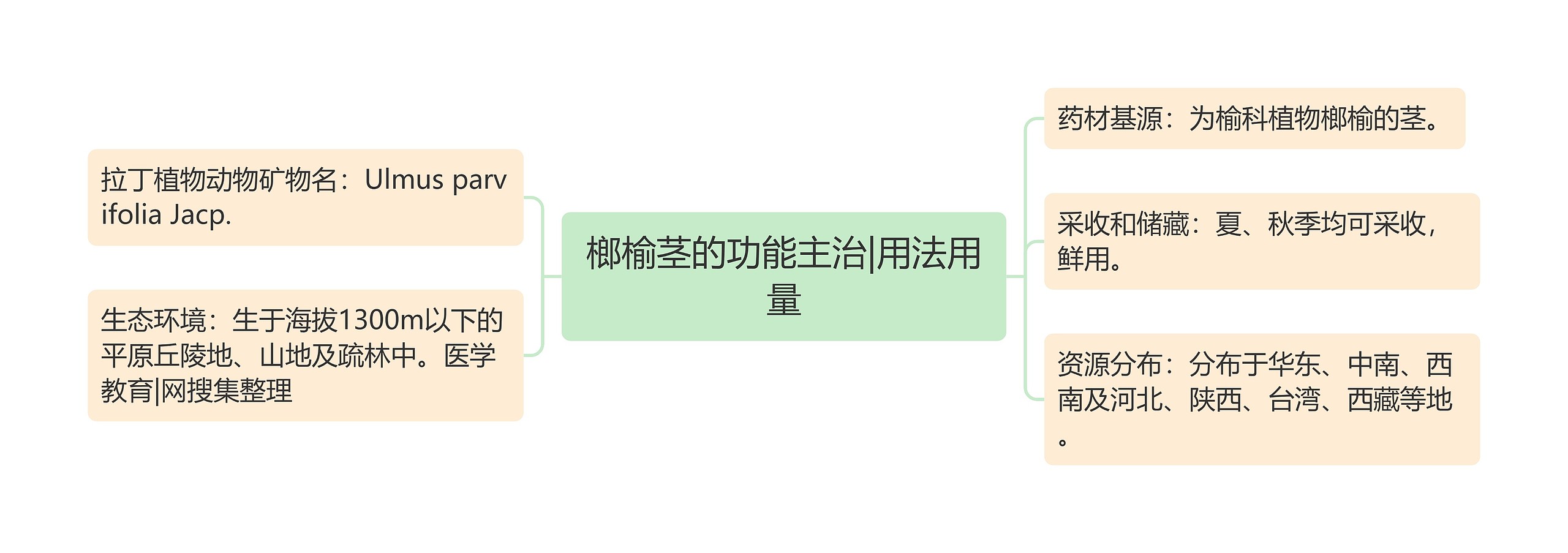 榔榆茎的功能主治|用法用量 榔榆茎的功能主治|用法用量