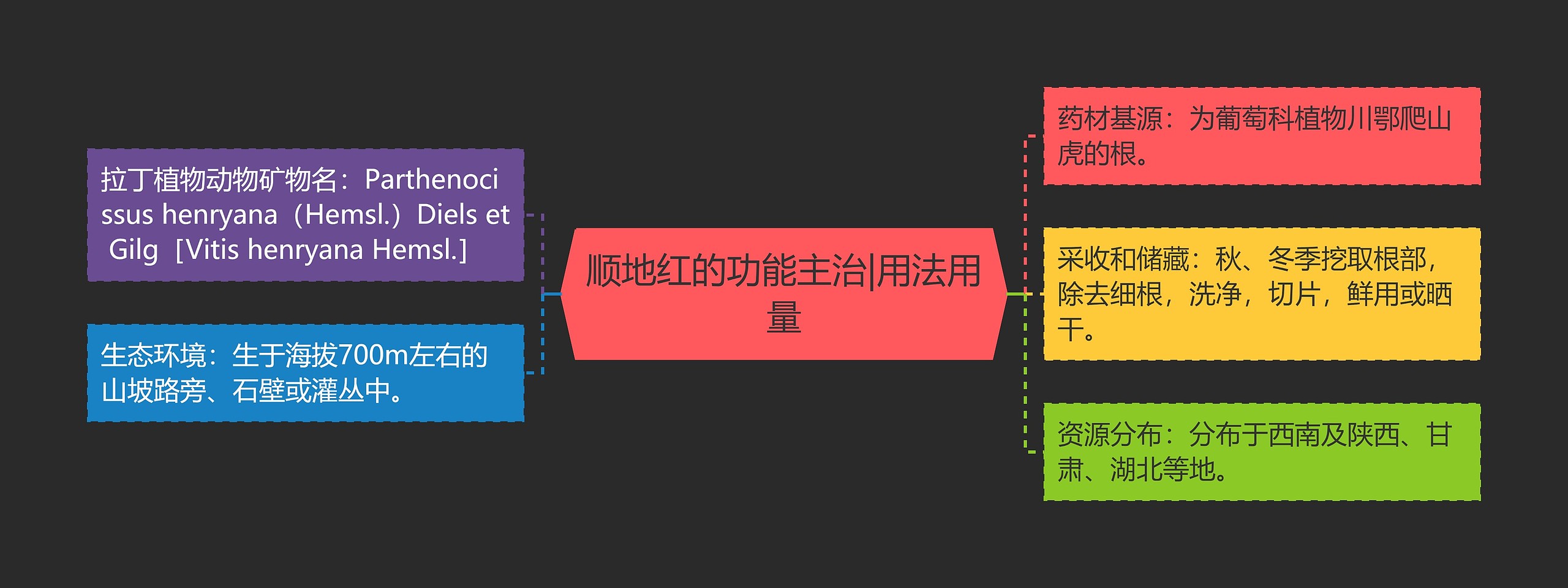 顺地红的功能主治|用法用量思维导图