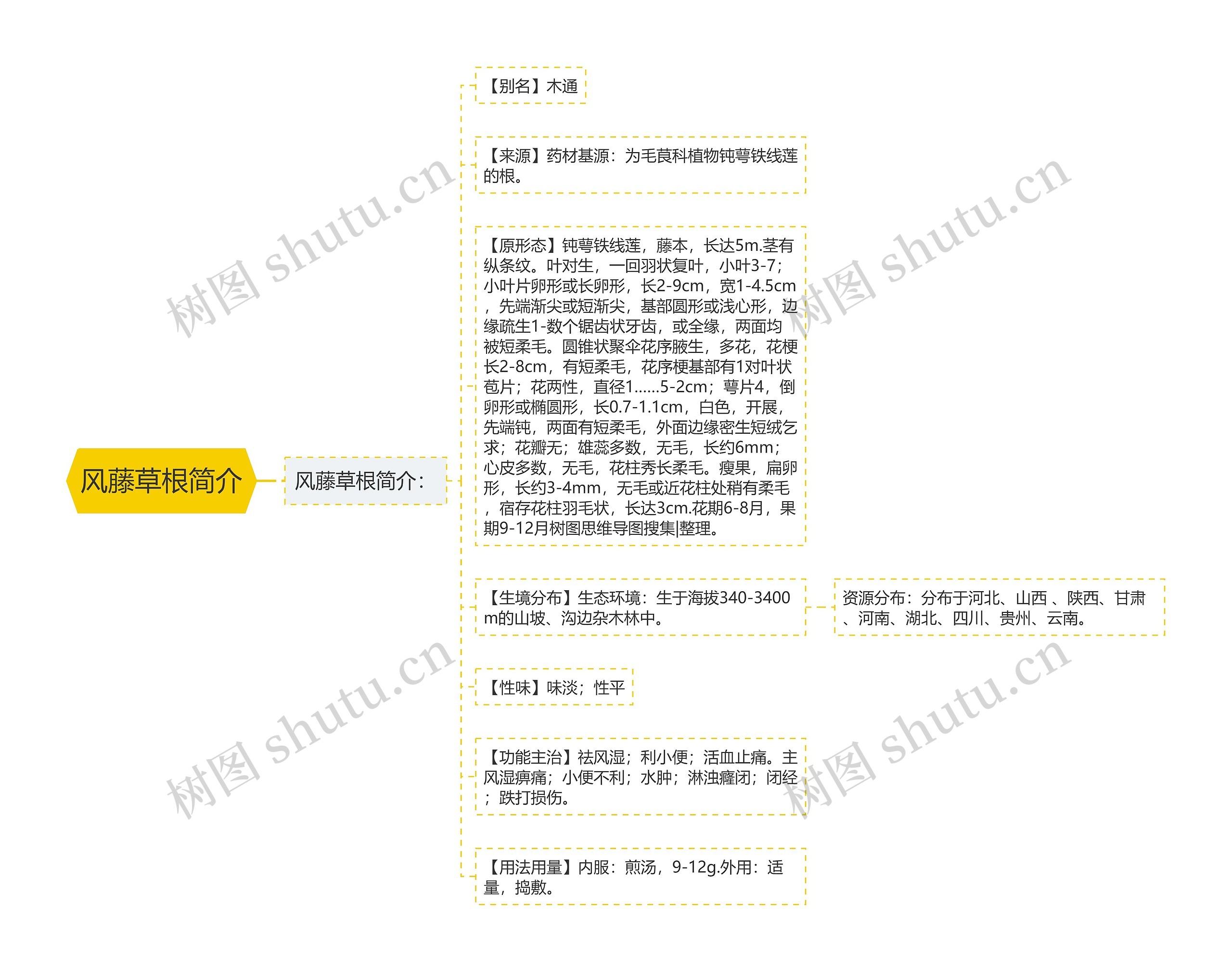 风藤草根简介 风藤草根简介