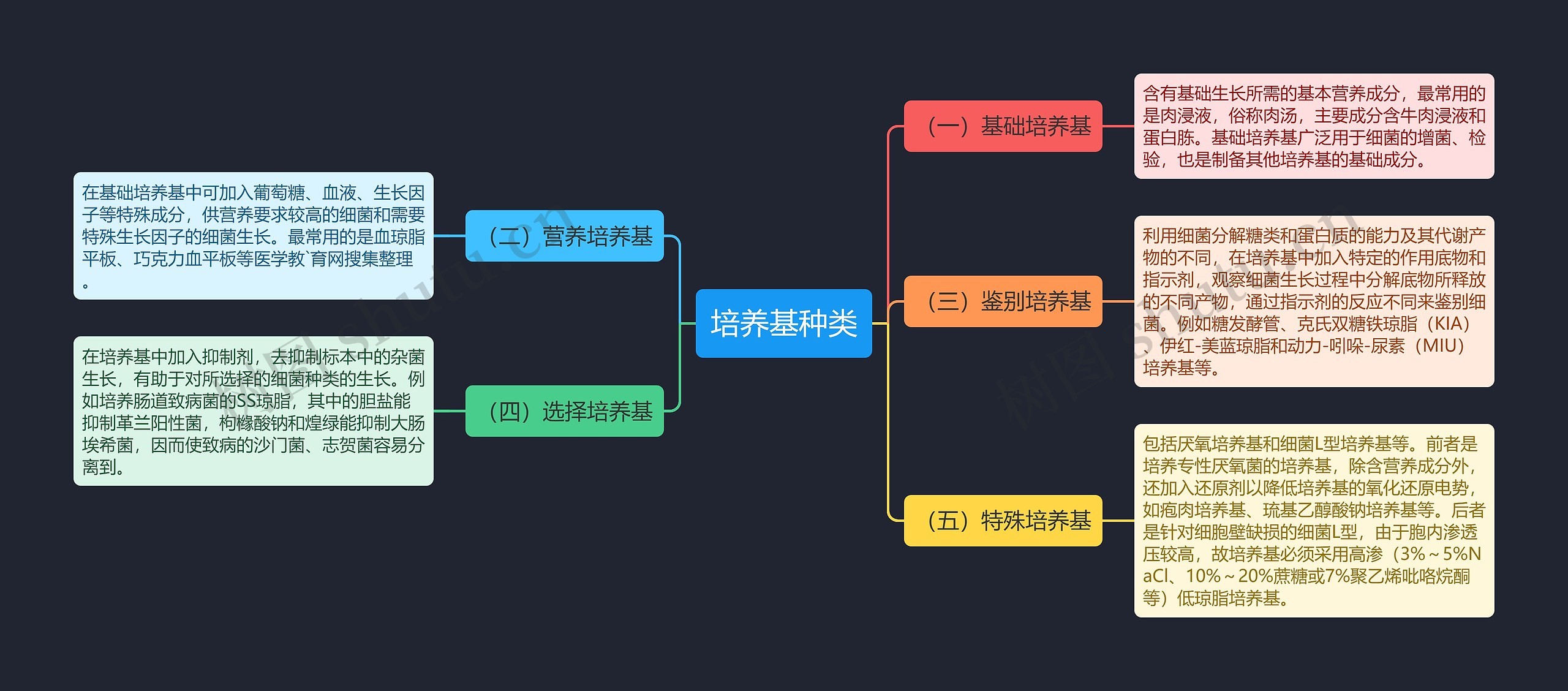 培养基种类思维导图