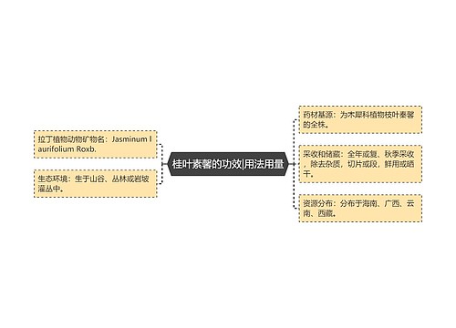 桂叶素馨的功效|用法用量