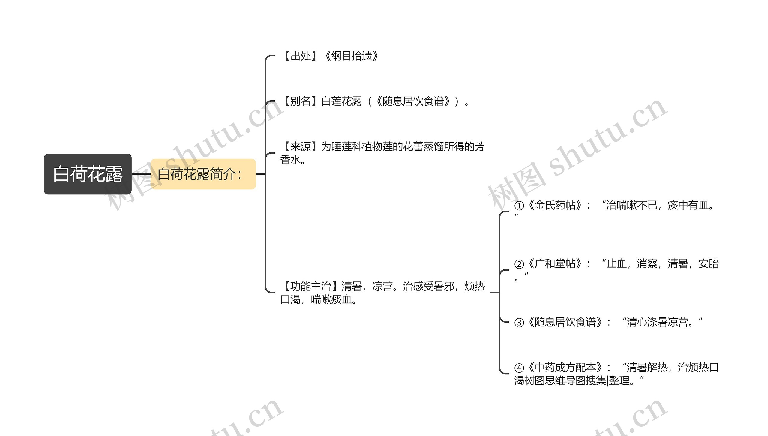 白荷花露思维导图