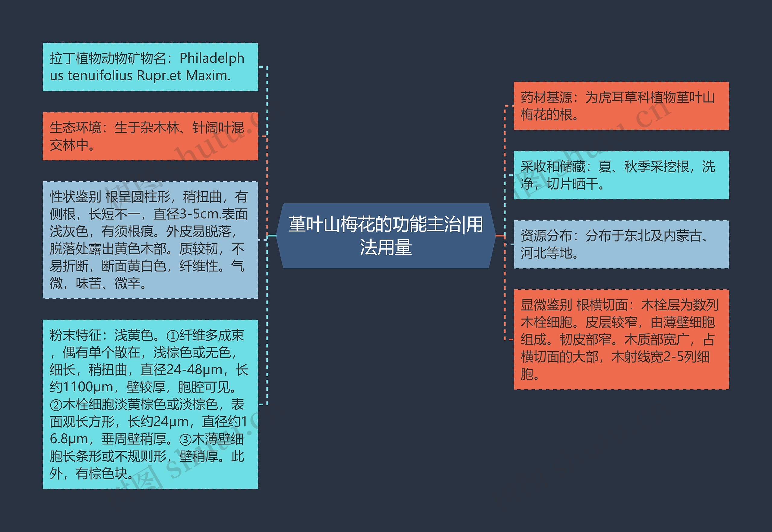 堇叶山梅花的功能主治|用法用量