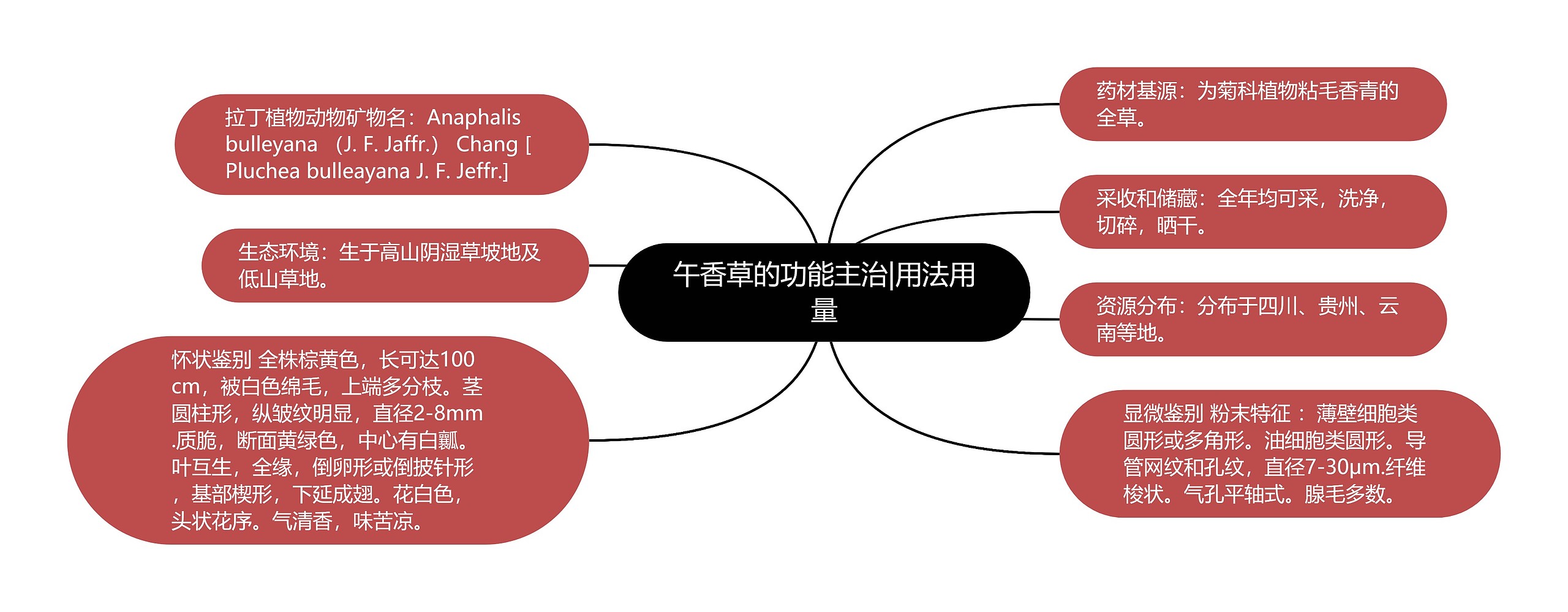 午香草的功能主治|用法用量思维导图