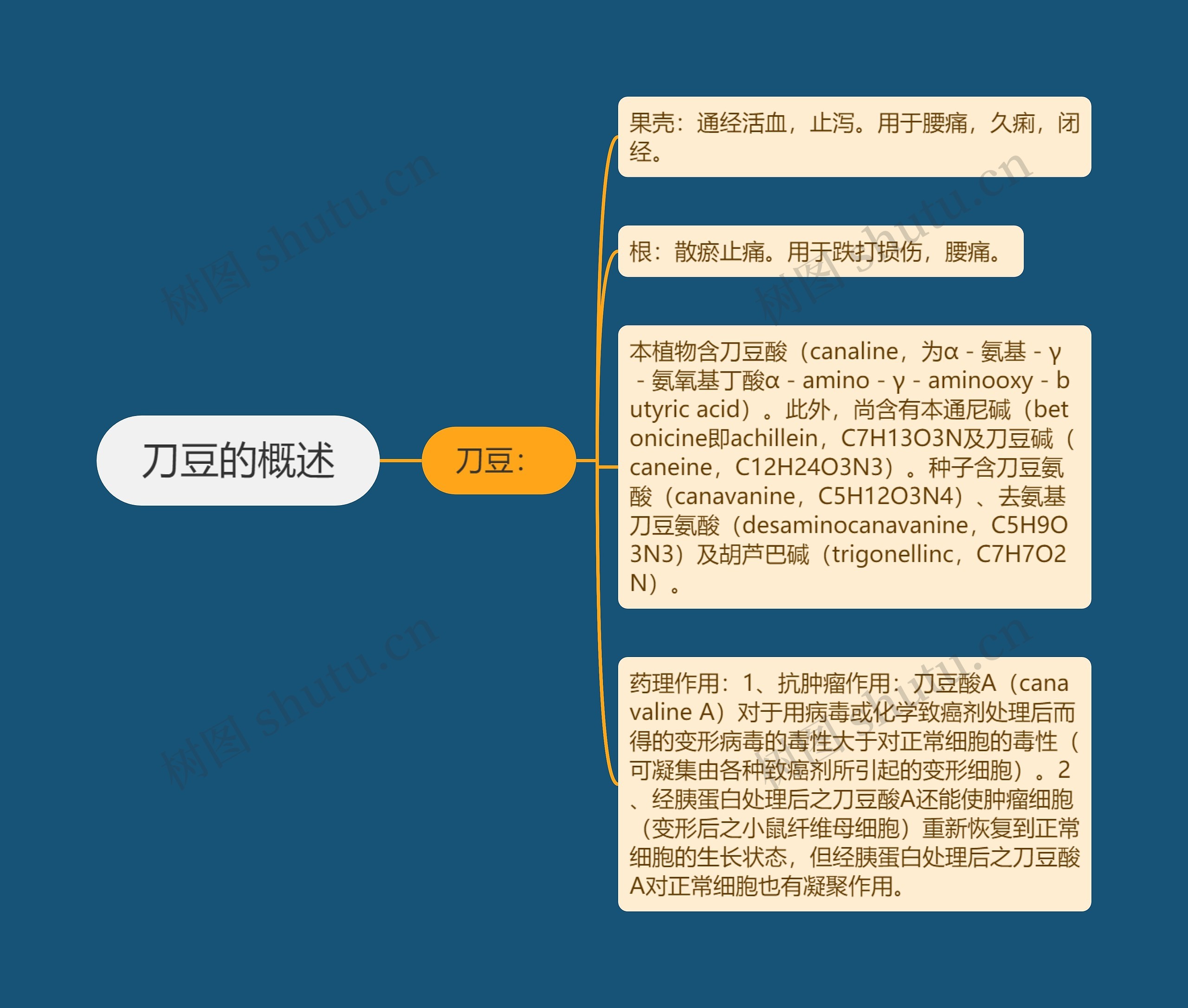 刀豆的概述 刀豆的概述