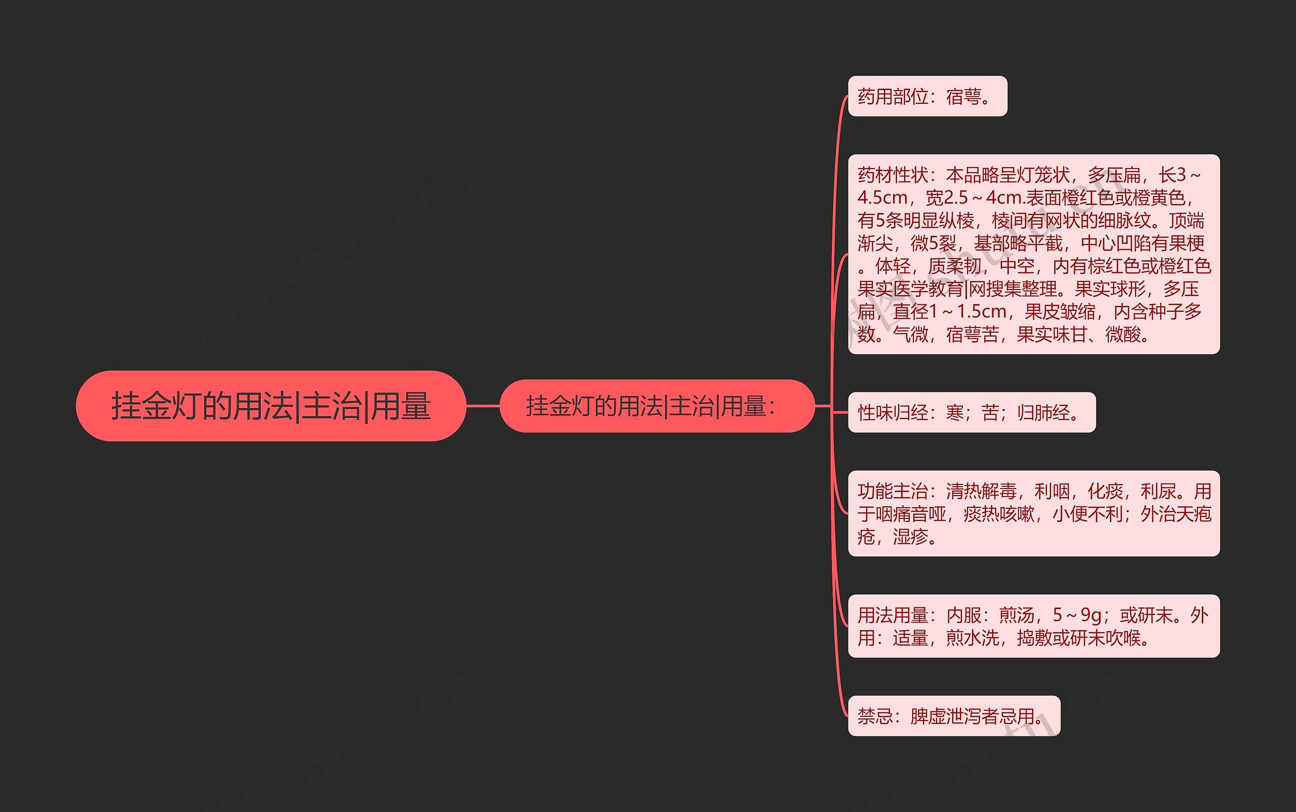 挂金灯的用法|主治|用量 挂金灯的用法|主治|用量