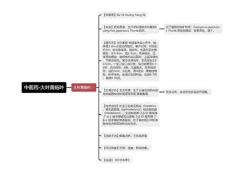 中医药-大叶黄杨叶