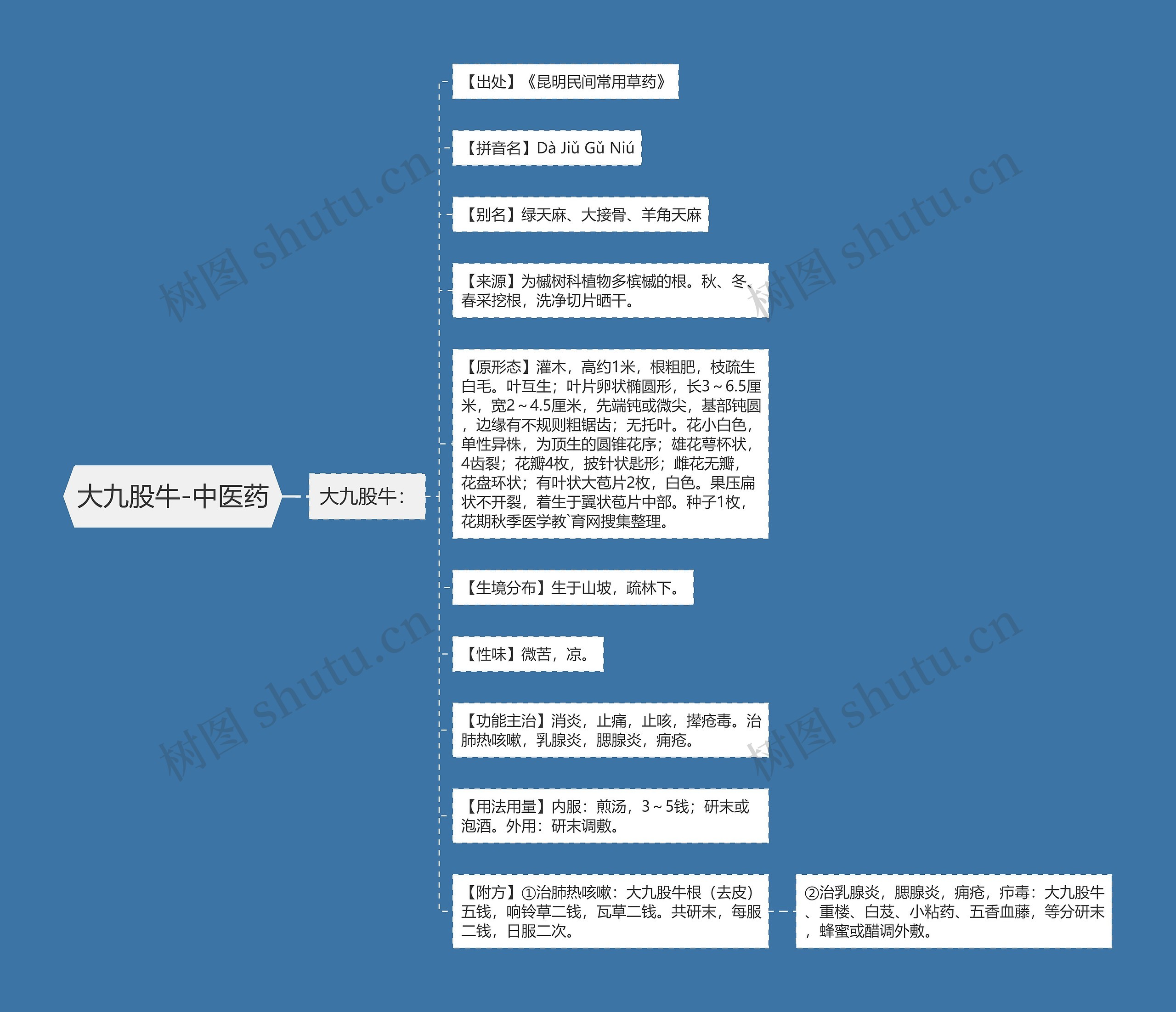大九股牛-中医药思维导图