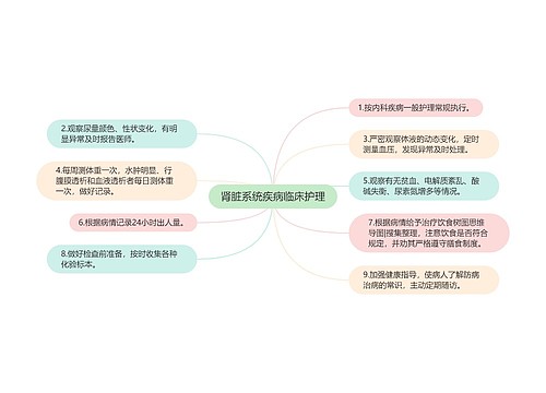 肾脏系统疾病临床护理