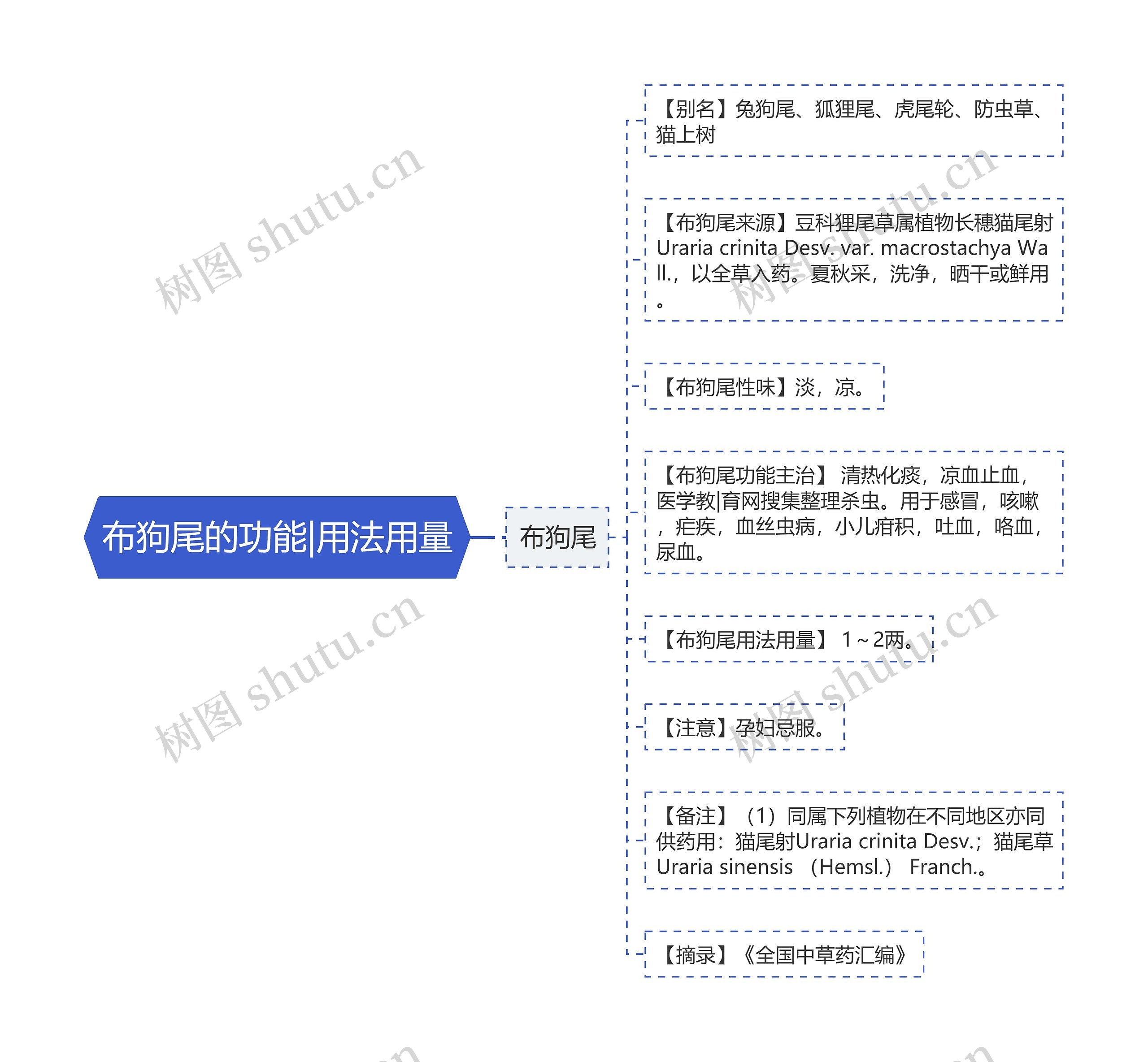 布狗尾的功能|用法用量思维导图