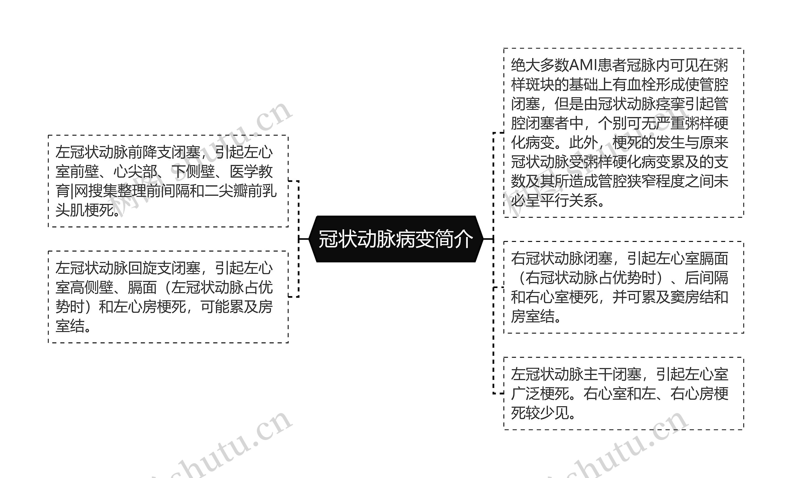 冠状动脉病变简介