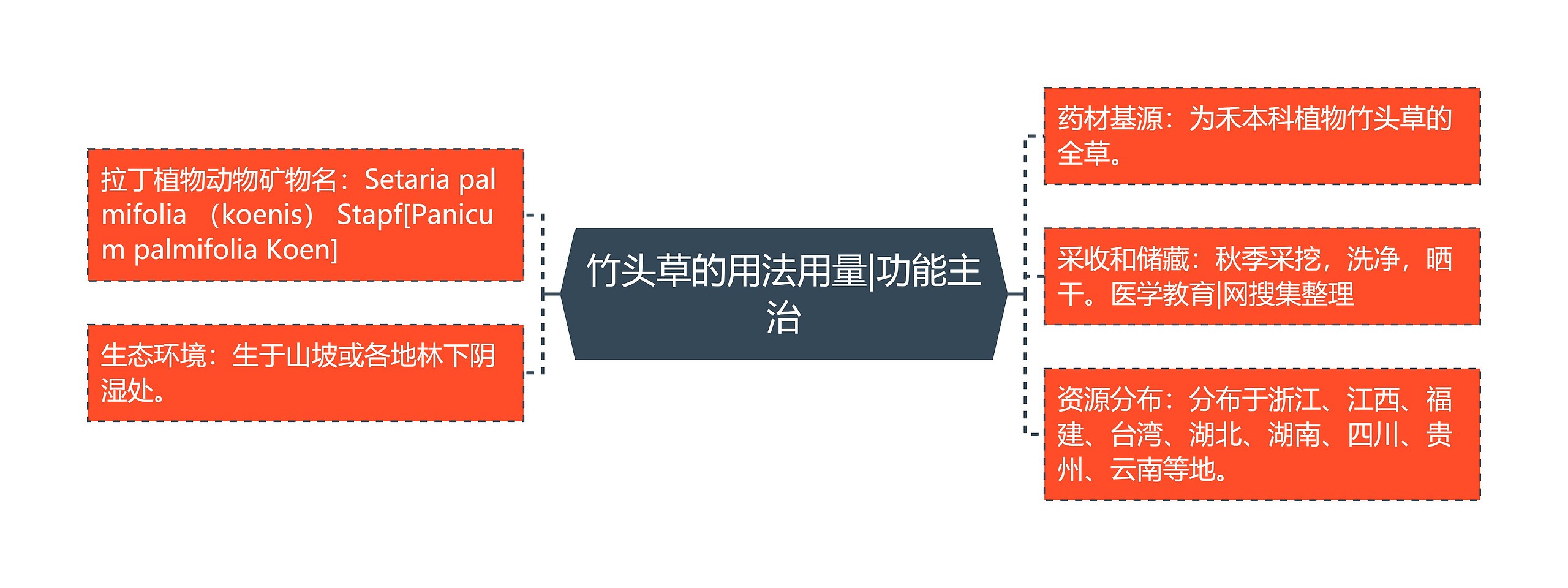 竹头草的用法用量|功能主治思维导图