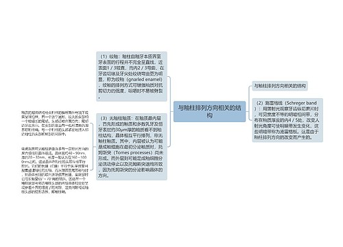 与釉柱排列方向相关的结构