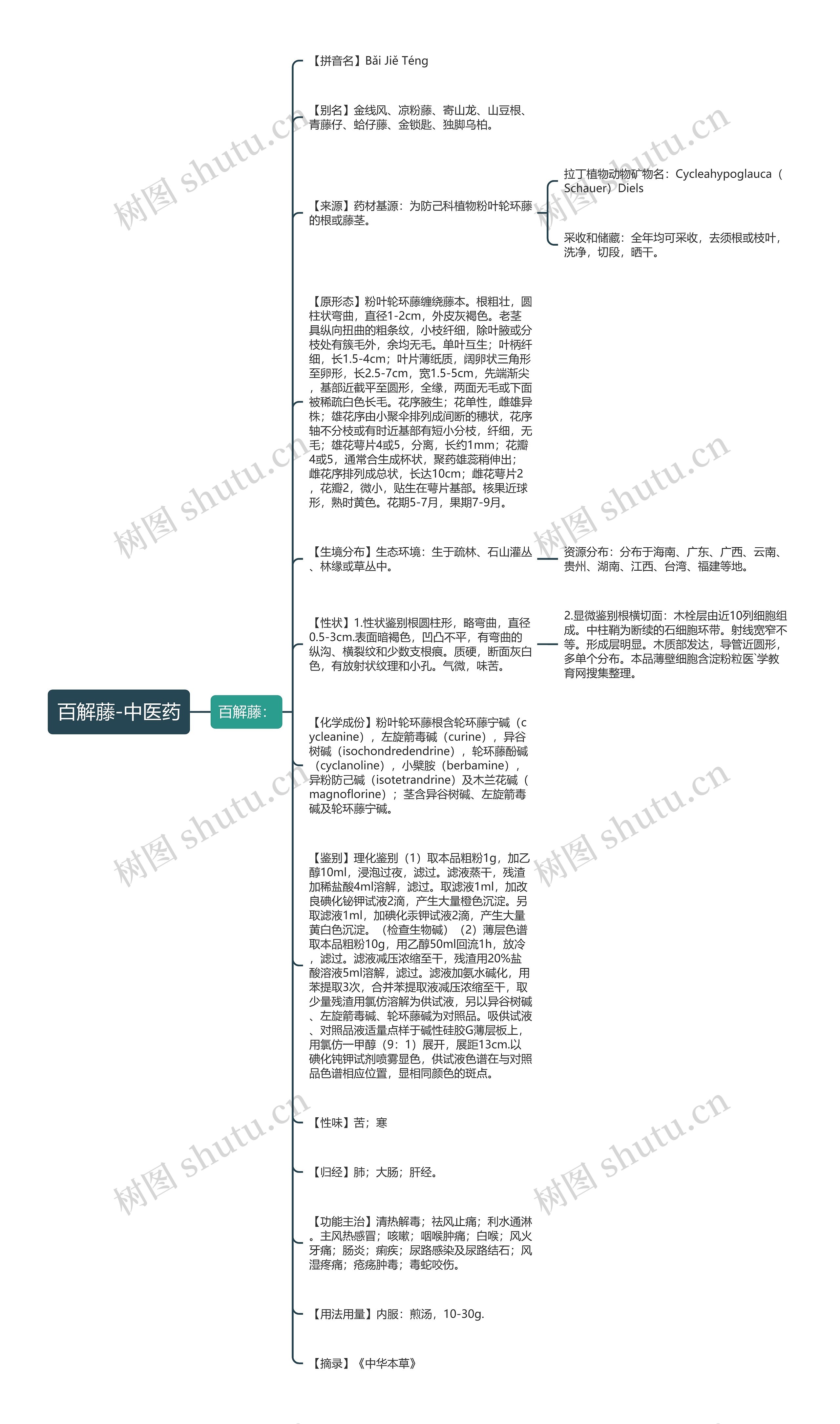百解藤-中医药思维导图