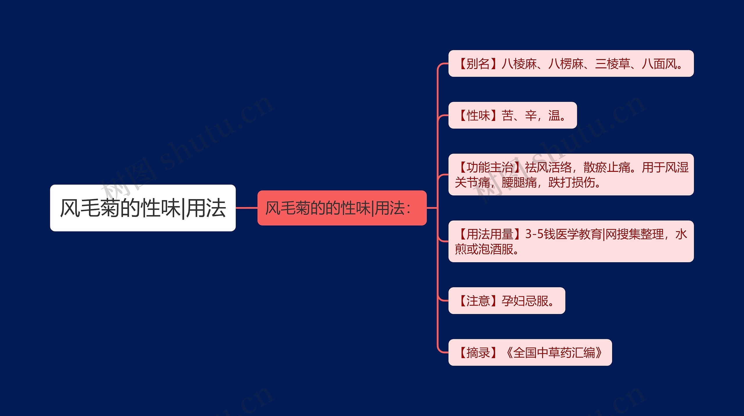 风毛菊的性味|用法思维导图