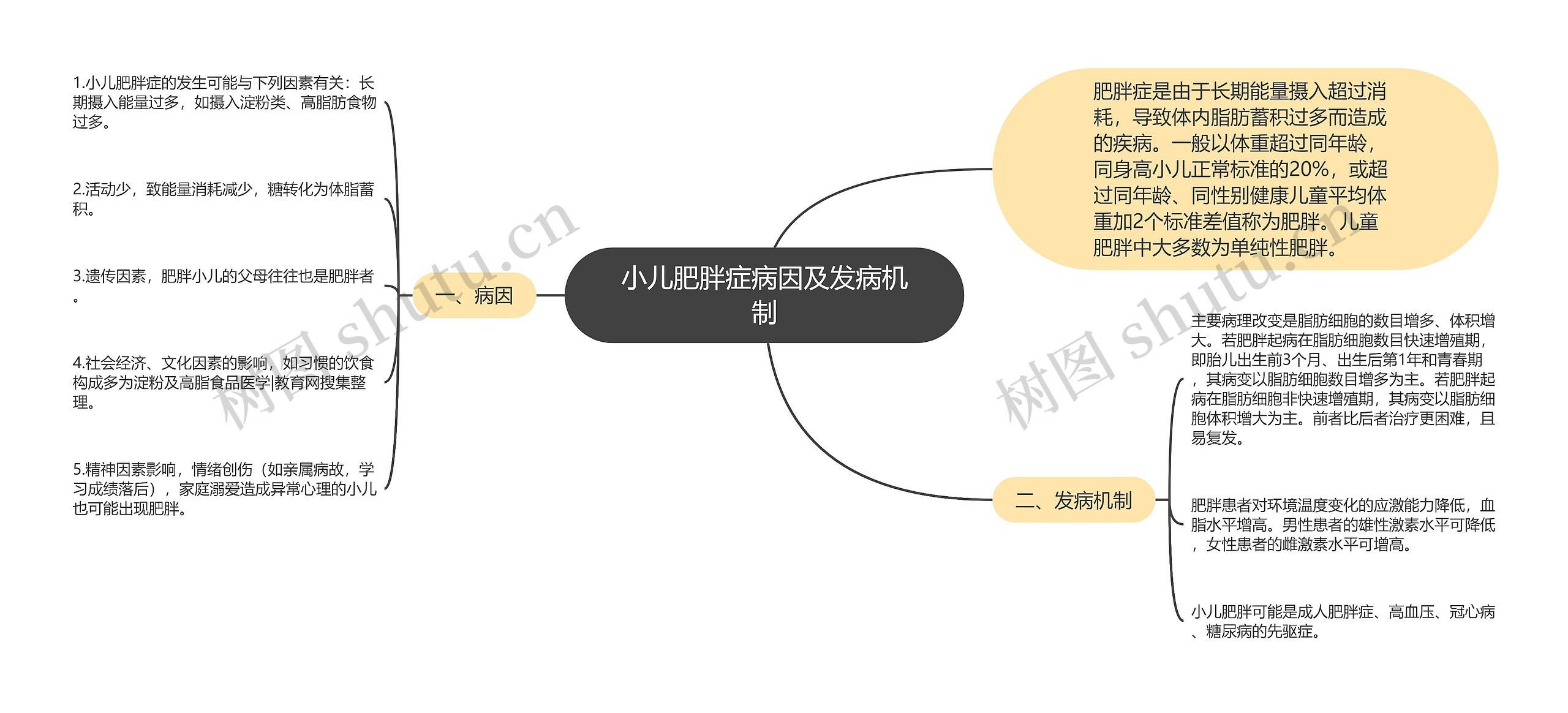 小儿肥胖症病因及发病机制思维导图