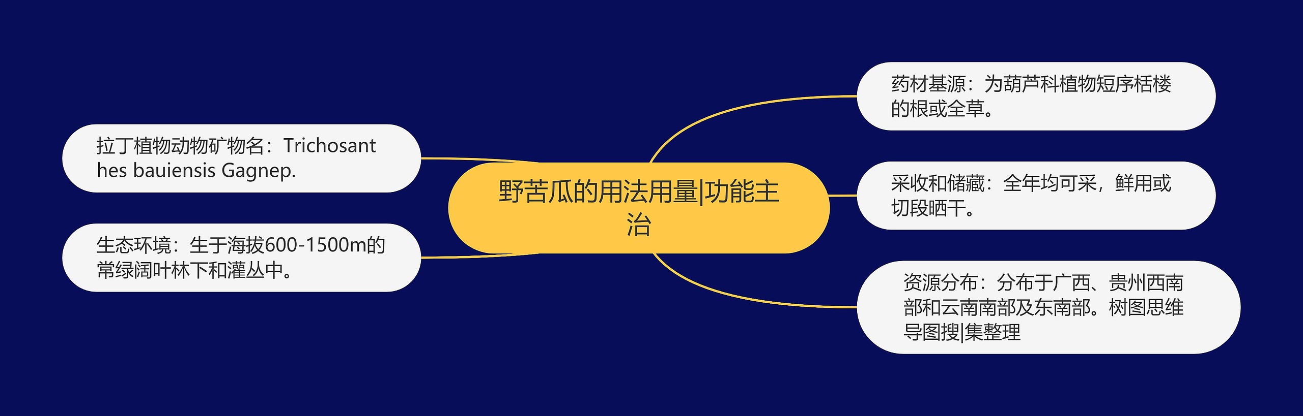 野苦瓜的用法用量|功能主治 野苦瓜的用法用量|功能主治