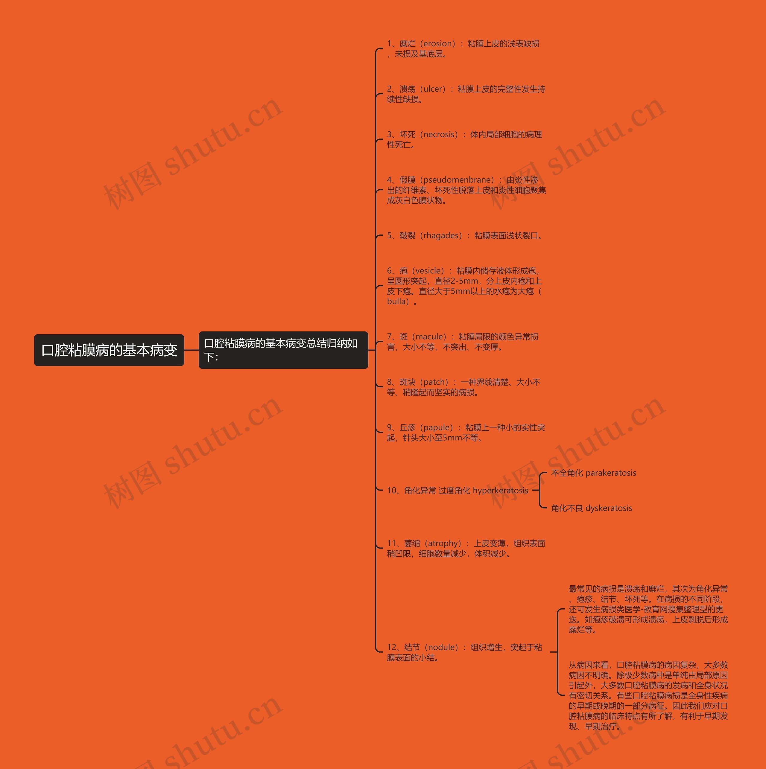口腔粘膜病的基本病变思维导图