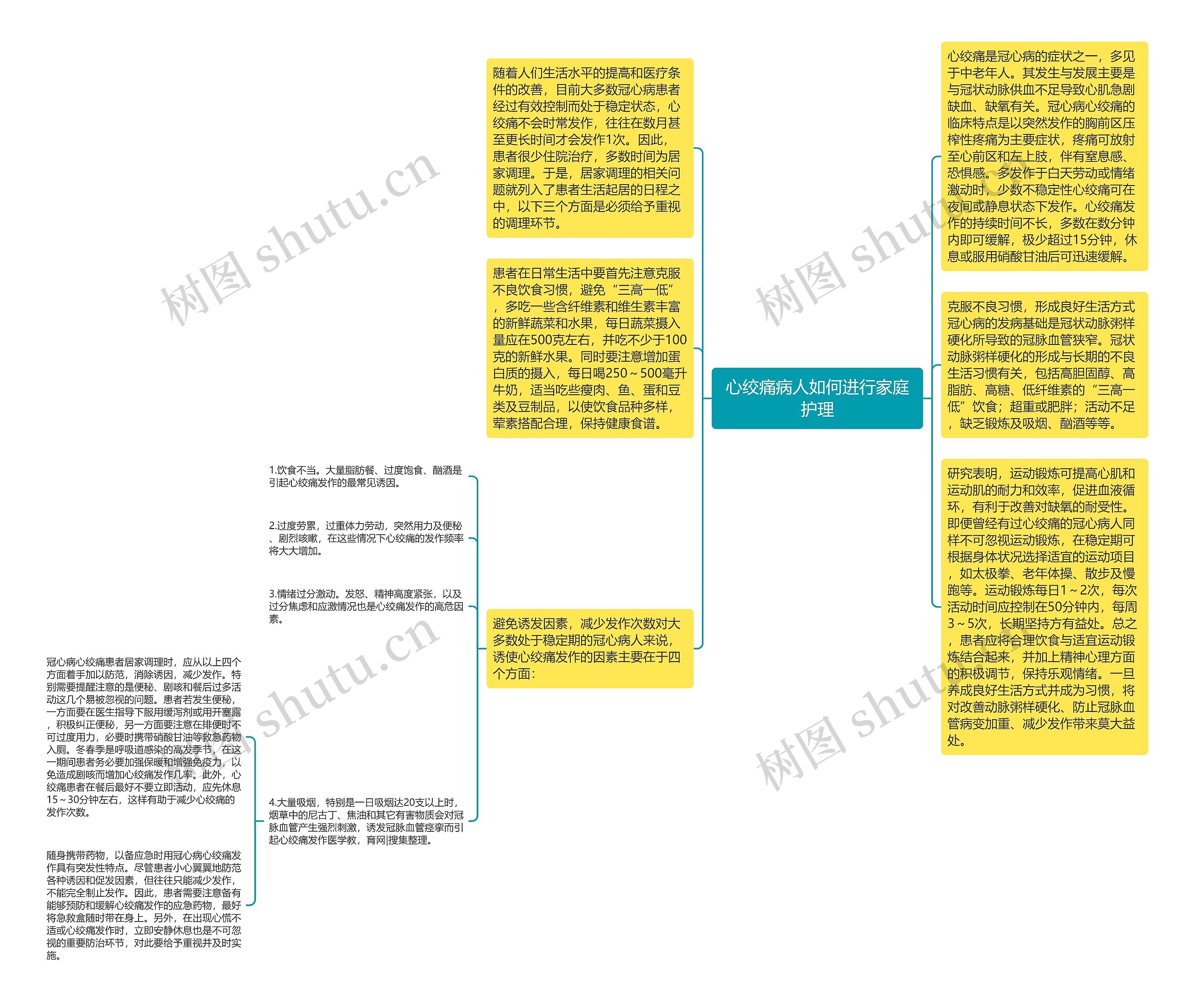 心绞痛病人如何进行家庭护理思维导图