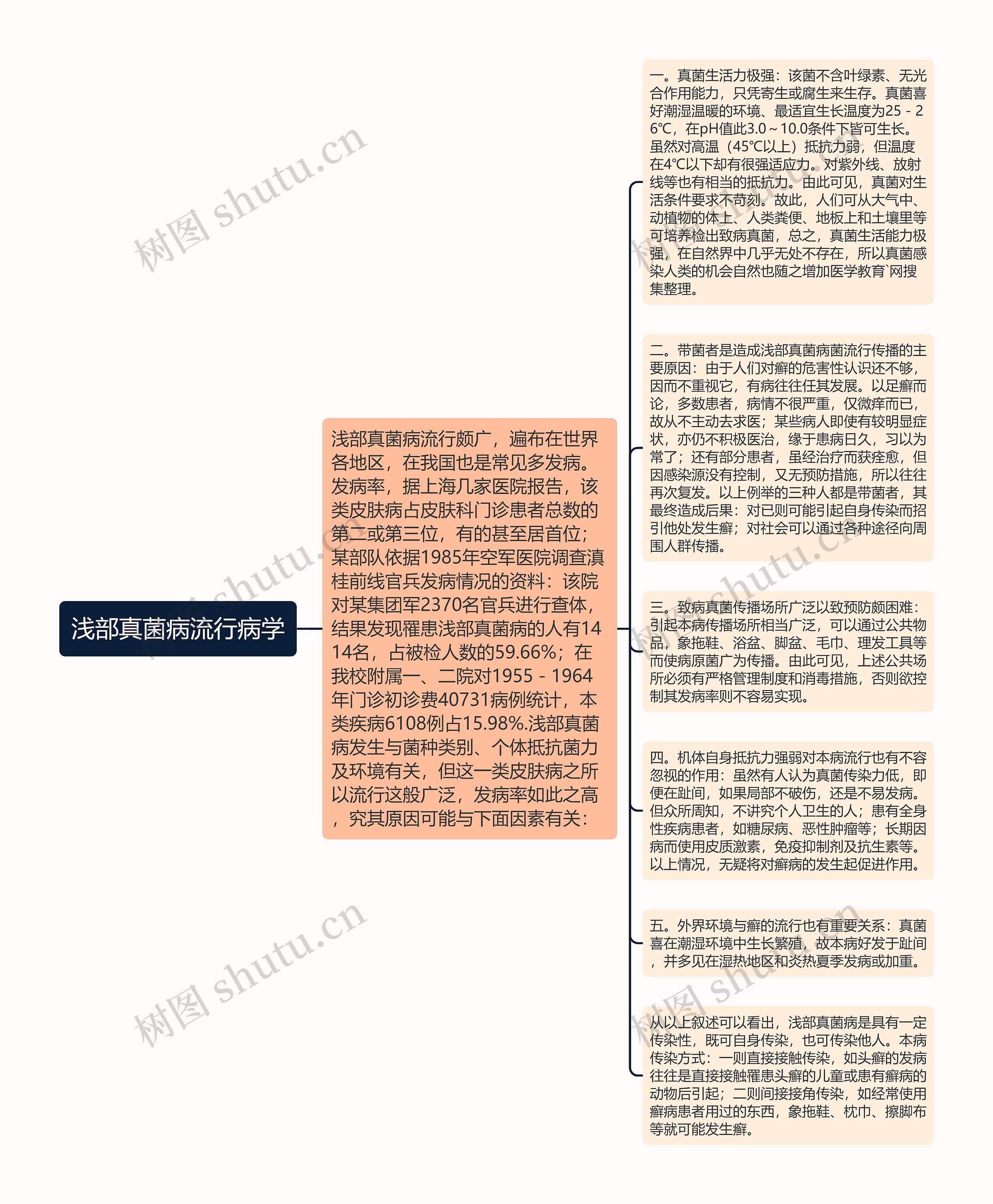浅部真菌病流行病学