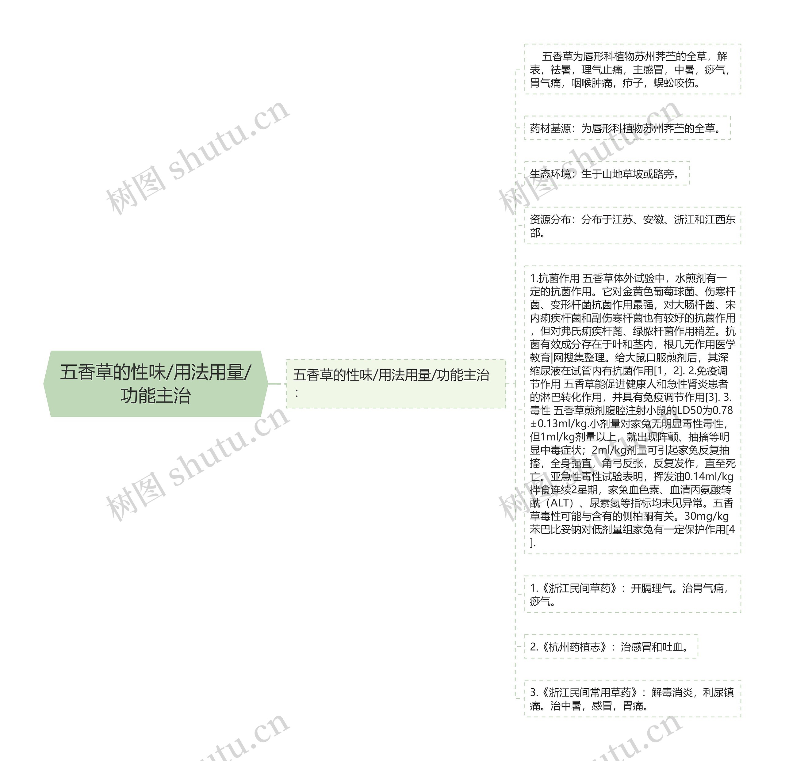 五香草的性味/用法用量/功能主治 五香草的性味/用法用量/功能主治