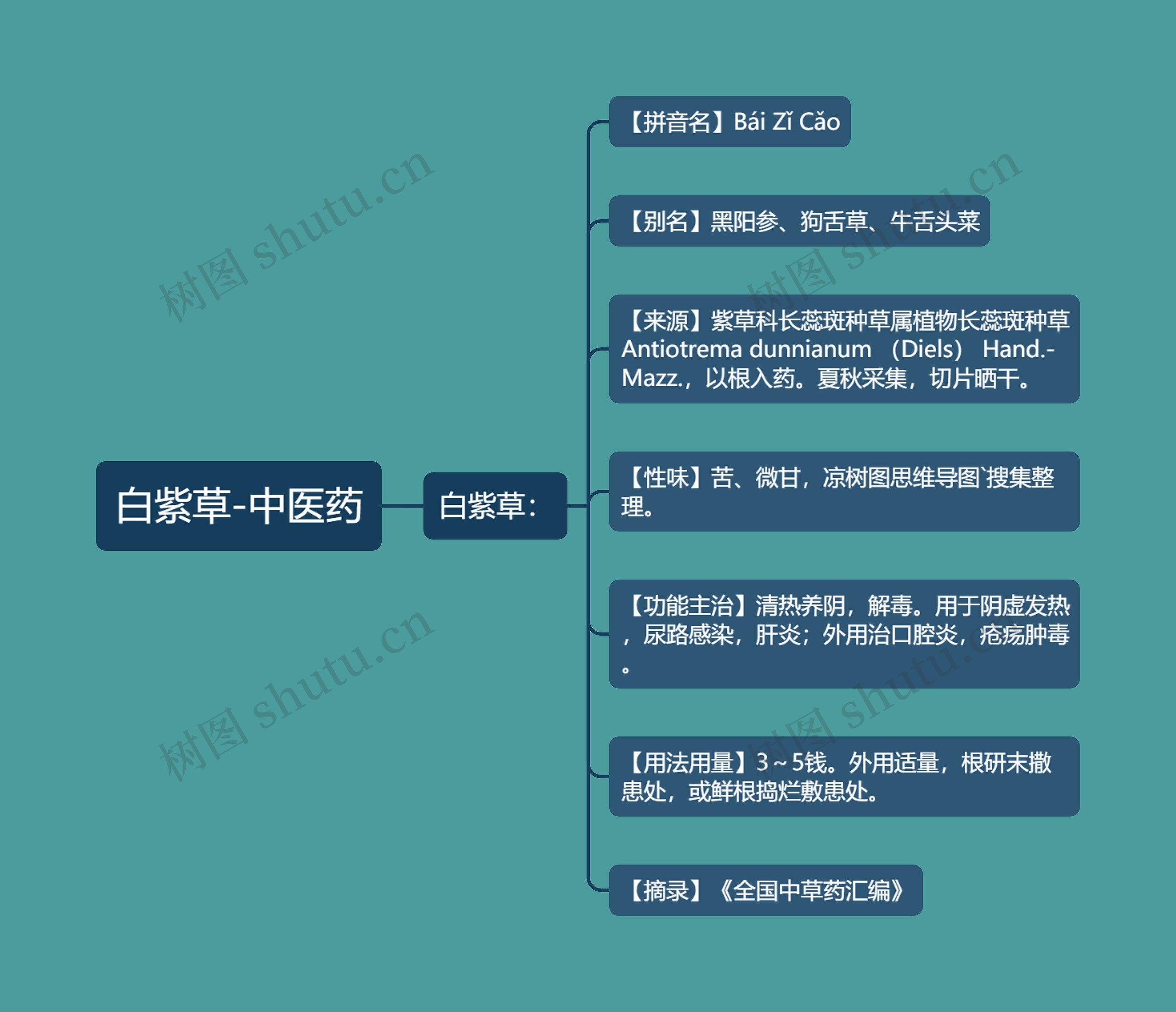 白紫草-中医药思维导图