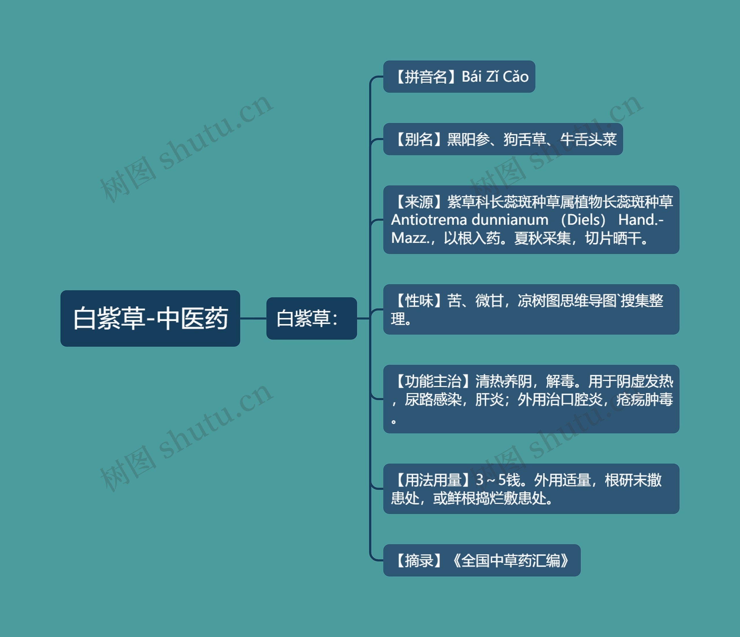 白紫草-中医药 白紫草-中医药